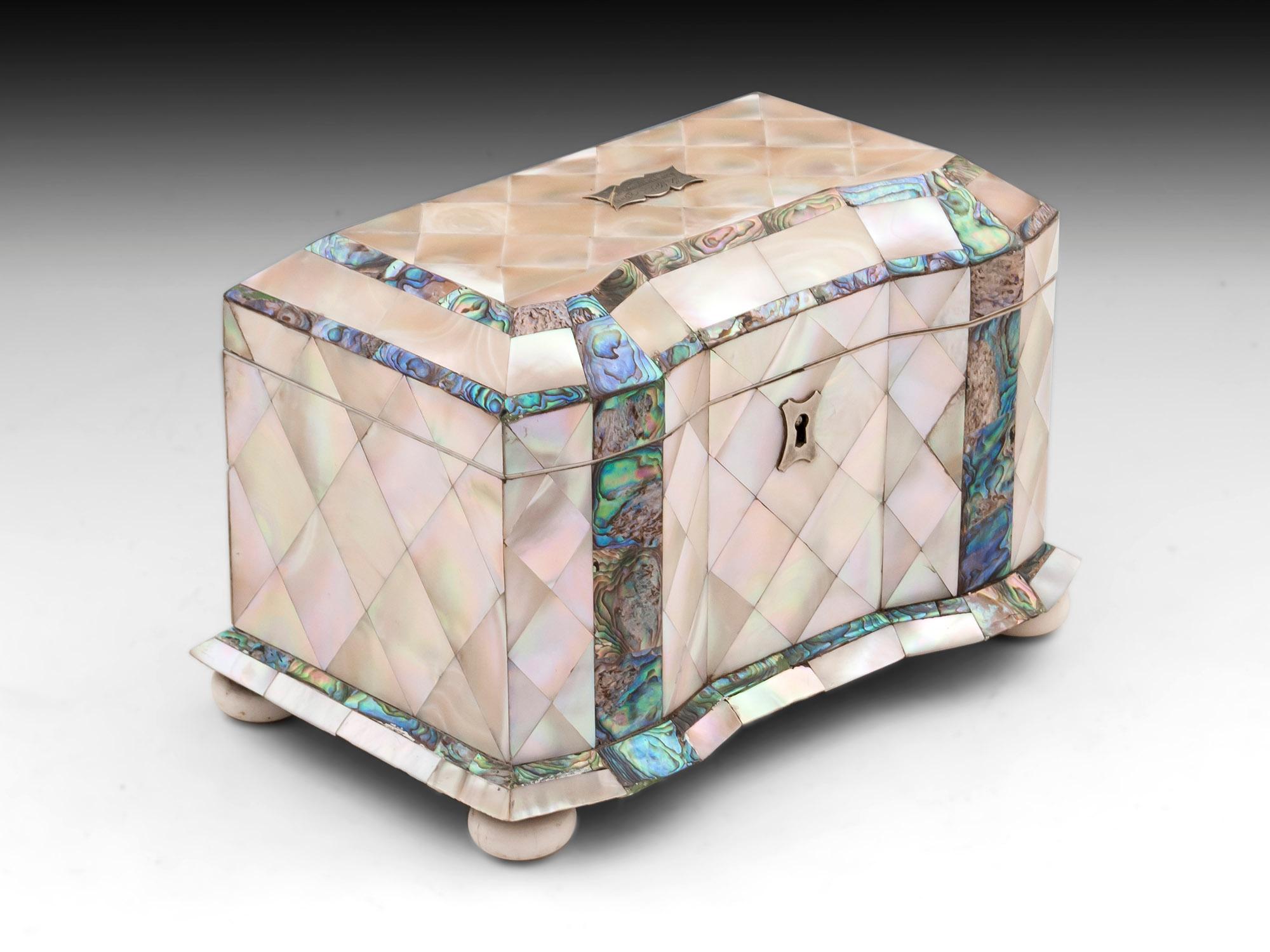 British 19th Century Antique Mother of Pearl Tea Caddy For Sale