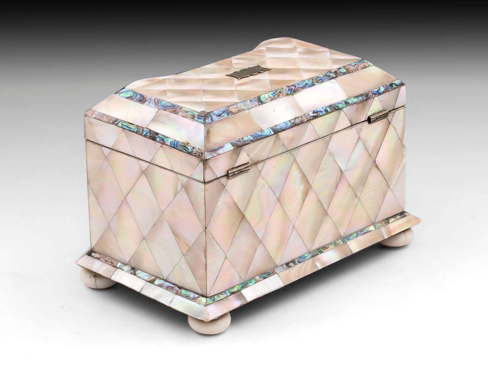 19th Century Antique Mother of Pearl Tea Caddy In Good Condition For Sale In Northampton, United Kingdom