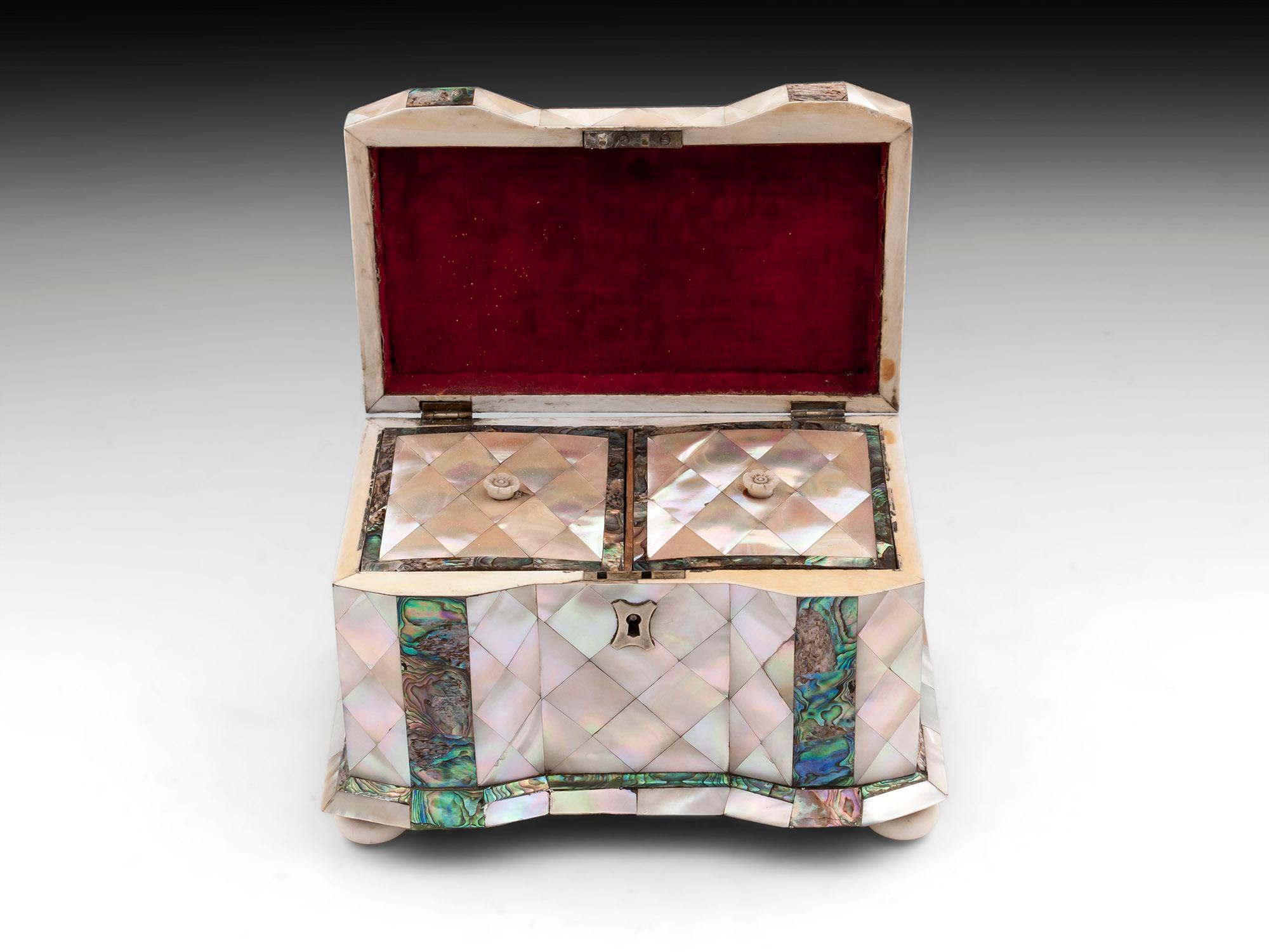 Bone 19th Century Antique Mother of Pearl Tea Caddy For Sale