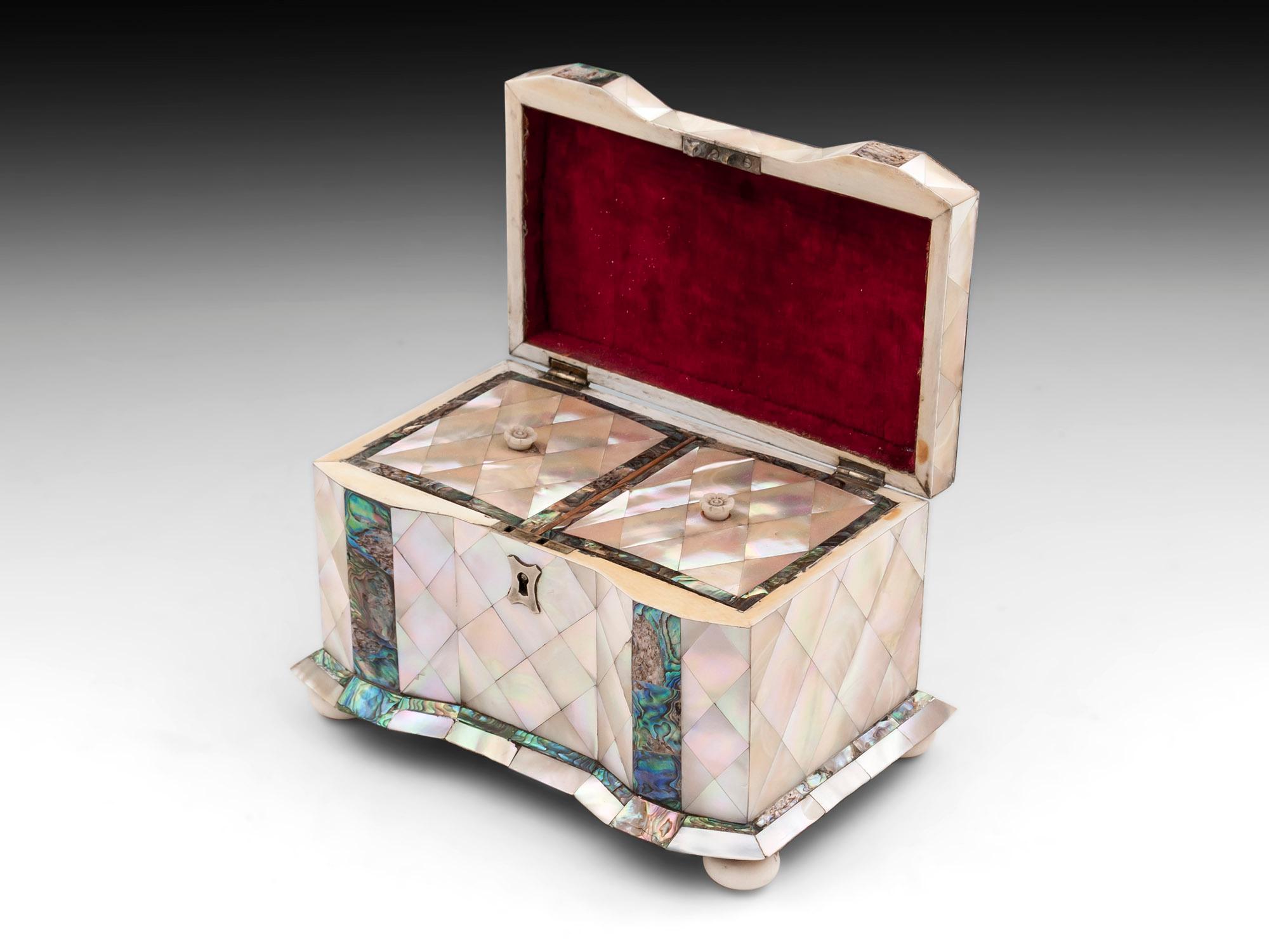 19th Century Antique Mother of Pearl Tea Caddy For Sale 1