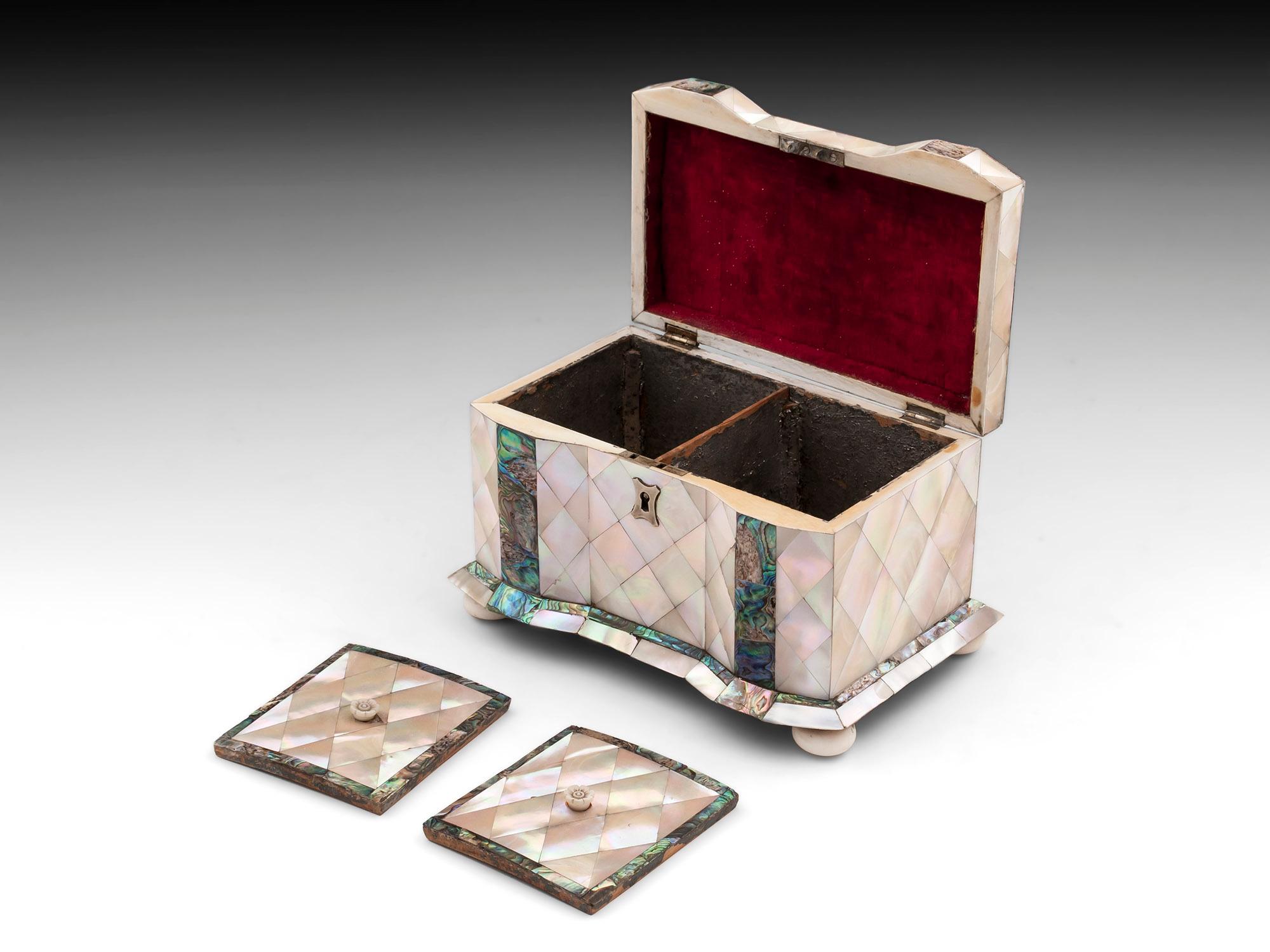 19th Century Antique Mother of Pearl Tea Caddy For Sale 2
