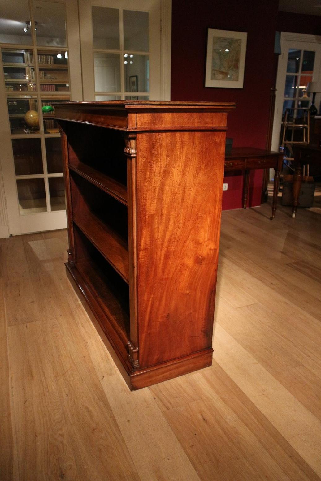 19th Century Antique Open Bookcase 3