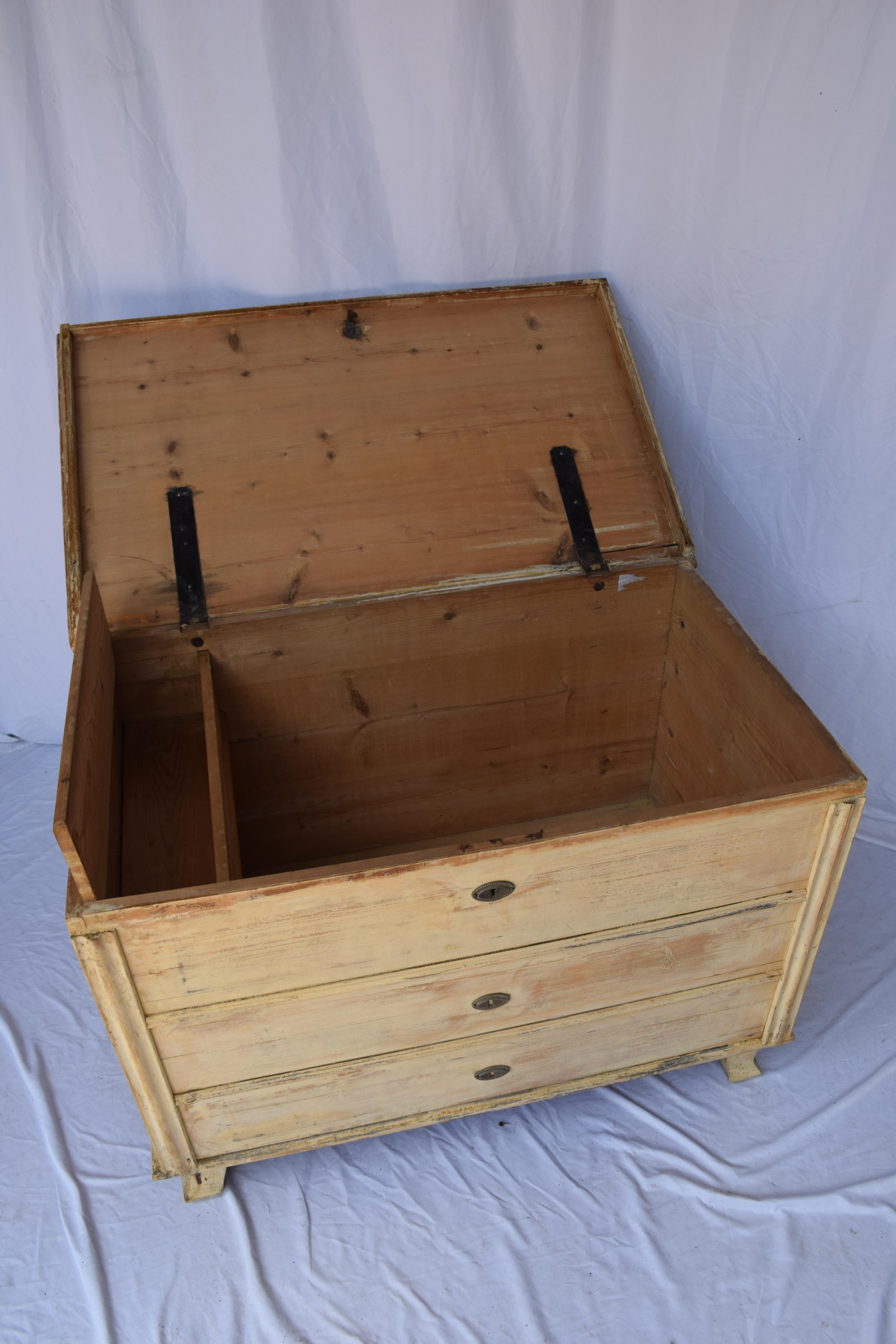 19th Century Antique Painted Flat Top Trunk For Sale 2