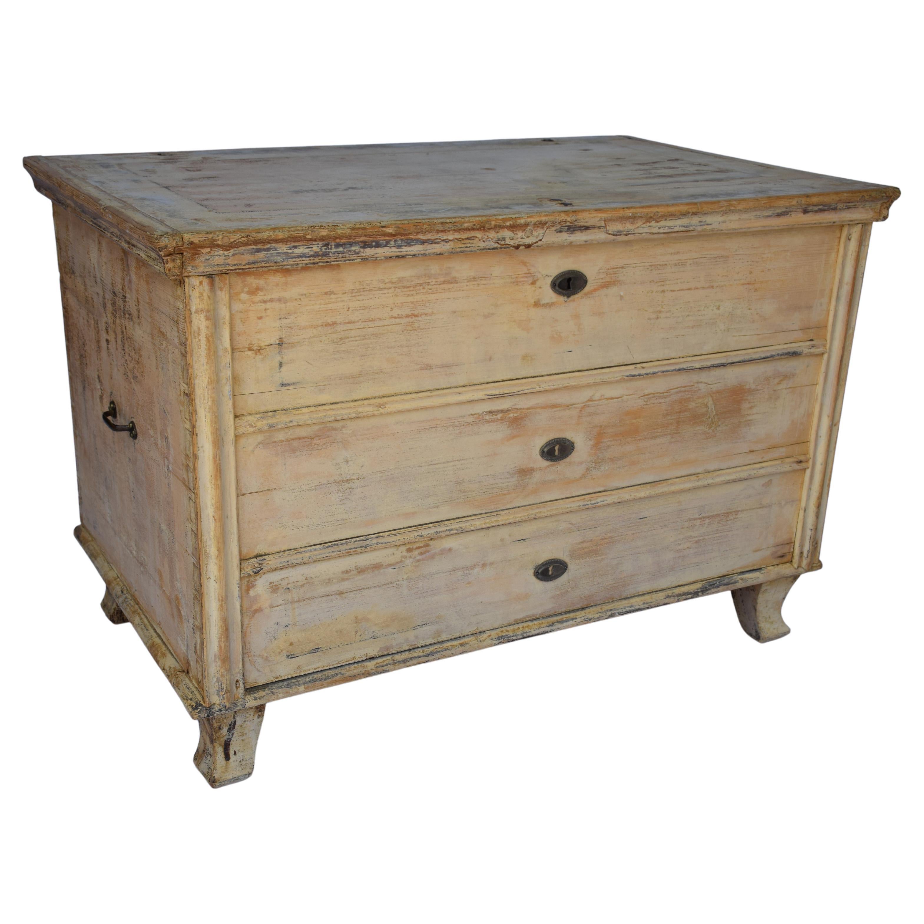 19th Century Antique Painted Flat Top Trunk For Sale