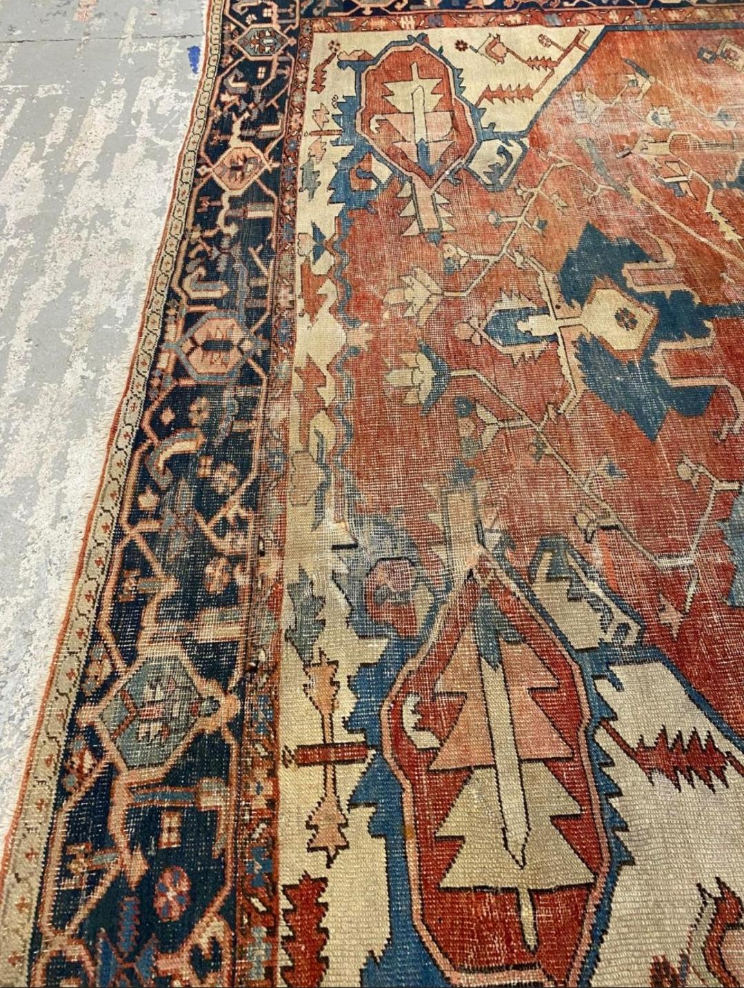 SERAPI RUG: 8'8