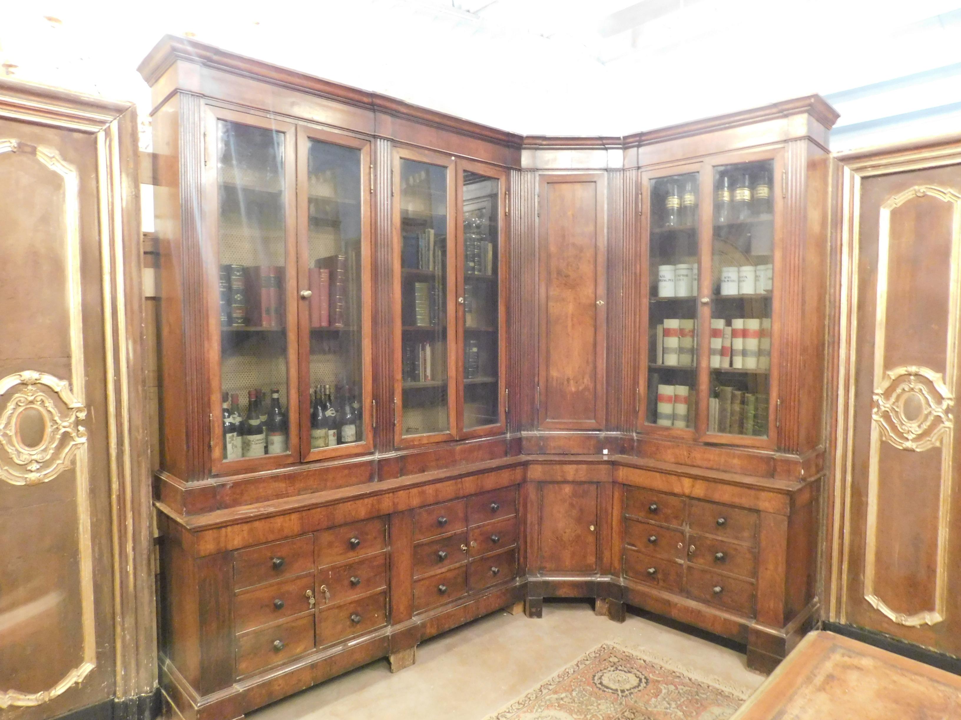 19th Century Antique Pharmacy Complete In Good Condition In Cuneo, Italy (CN)