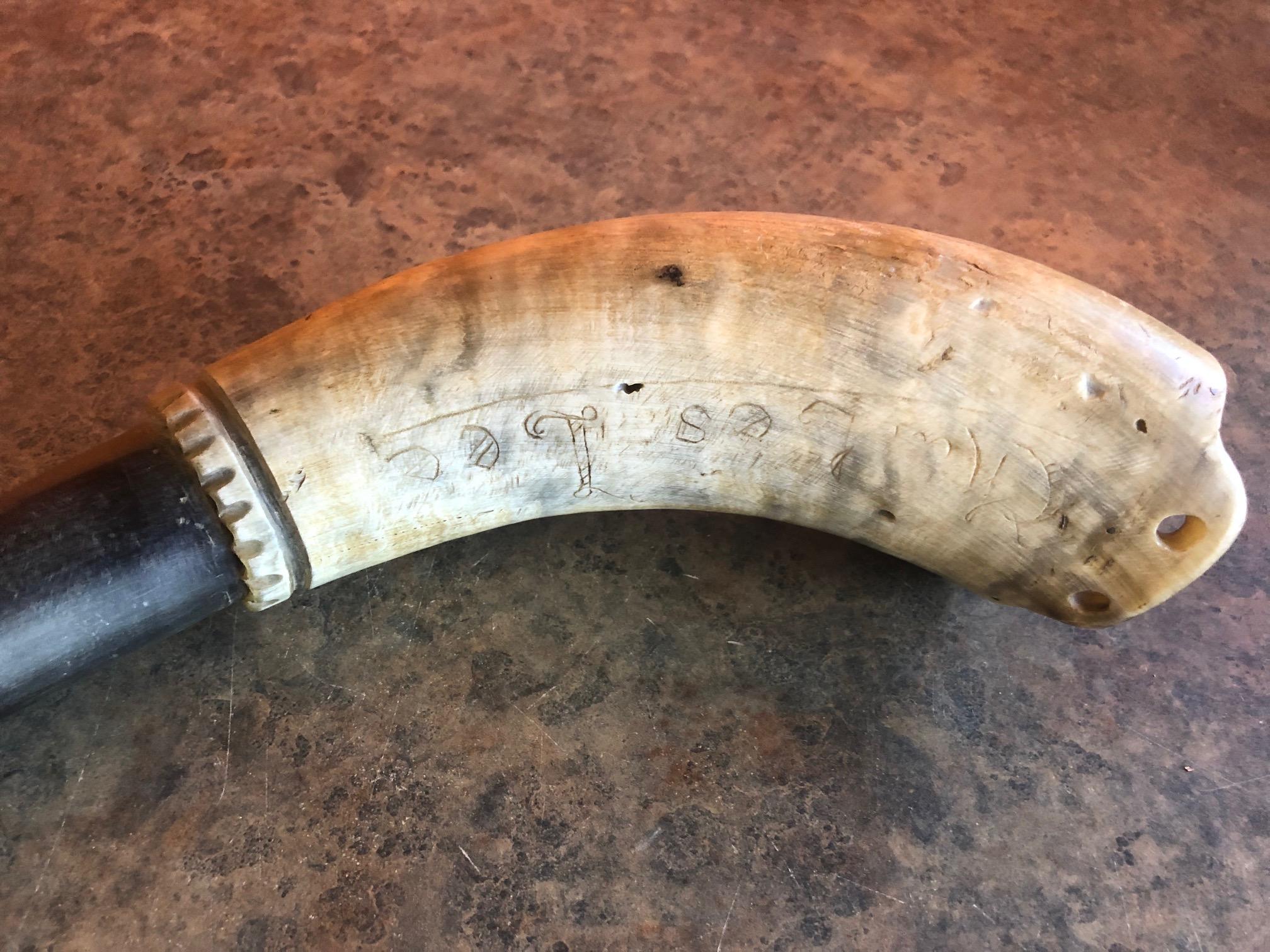 scrimshaw horn