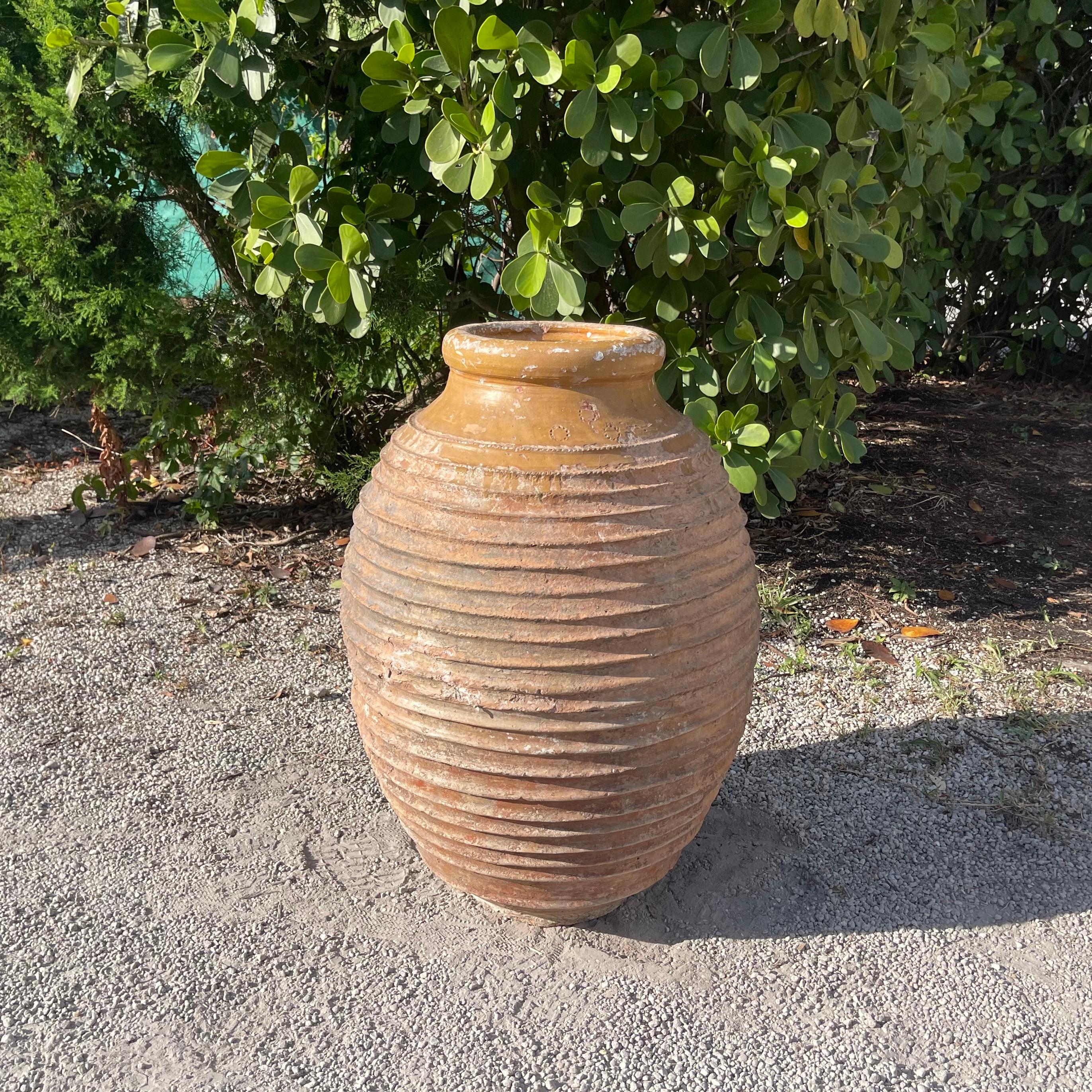 Grec Jarre à olives grecque striée du 19e siècle, ancienne en vente