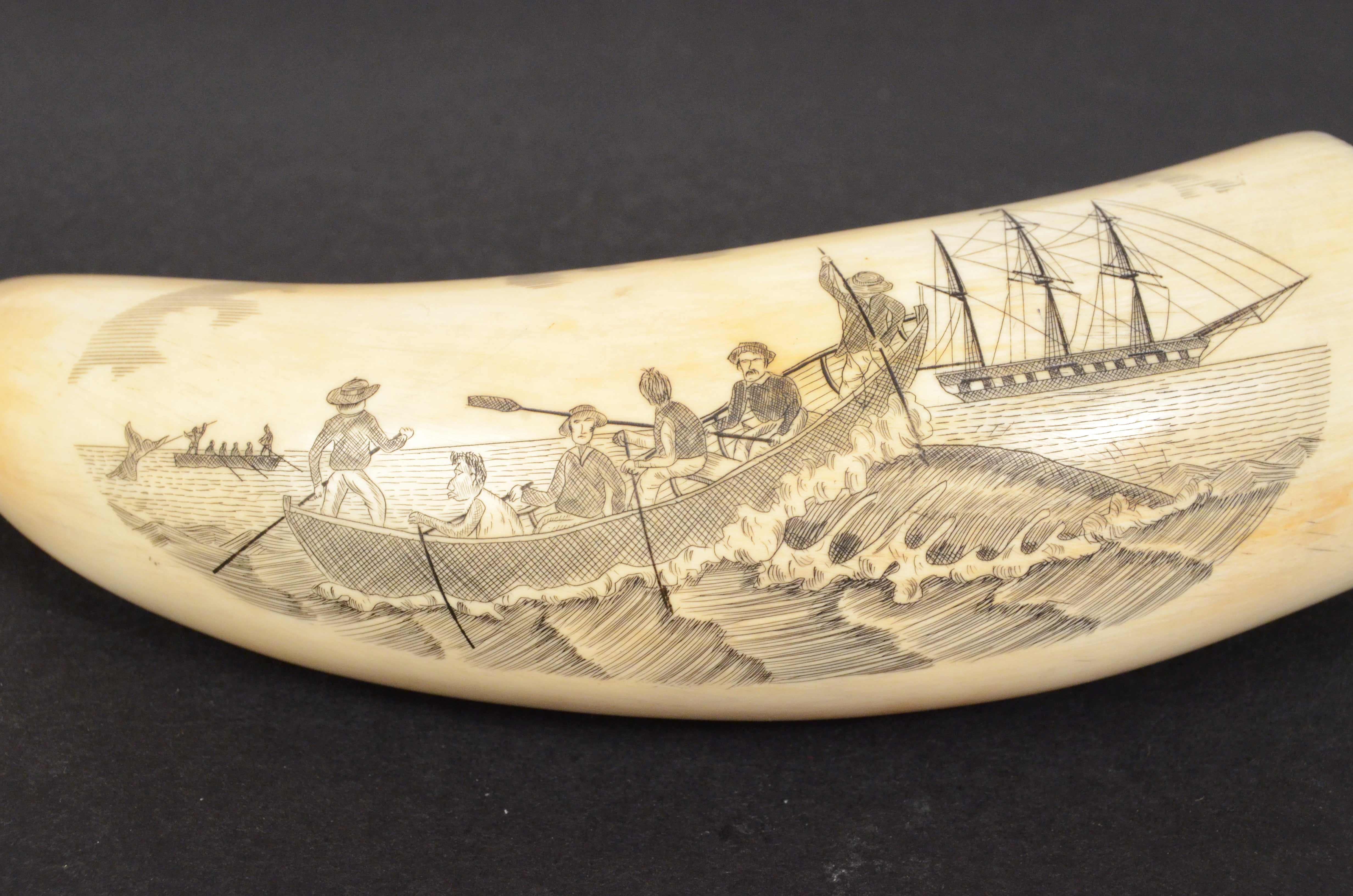 19th Century Antique Scrimshaw of an Engraved Whale Tooth Ancient Marine Art In Good Condition In Milan, IT