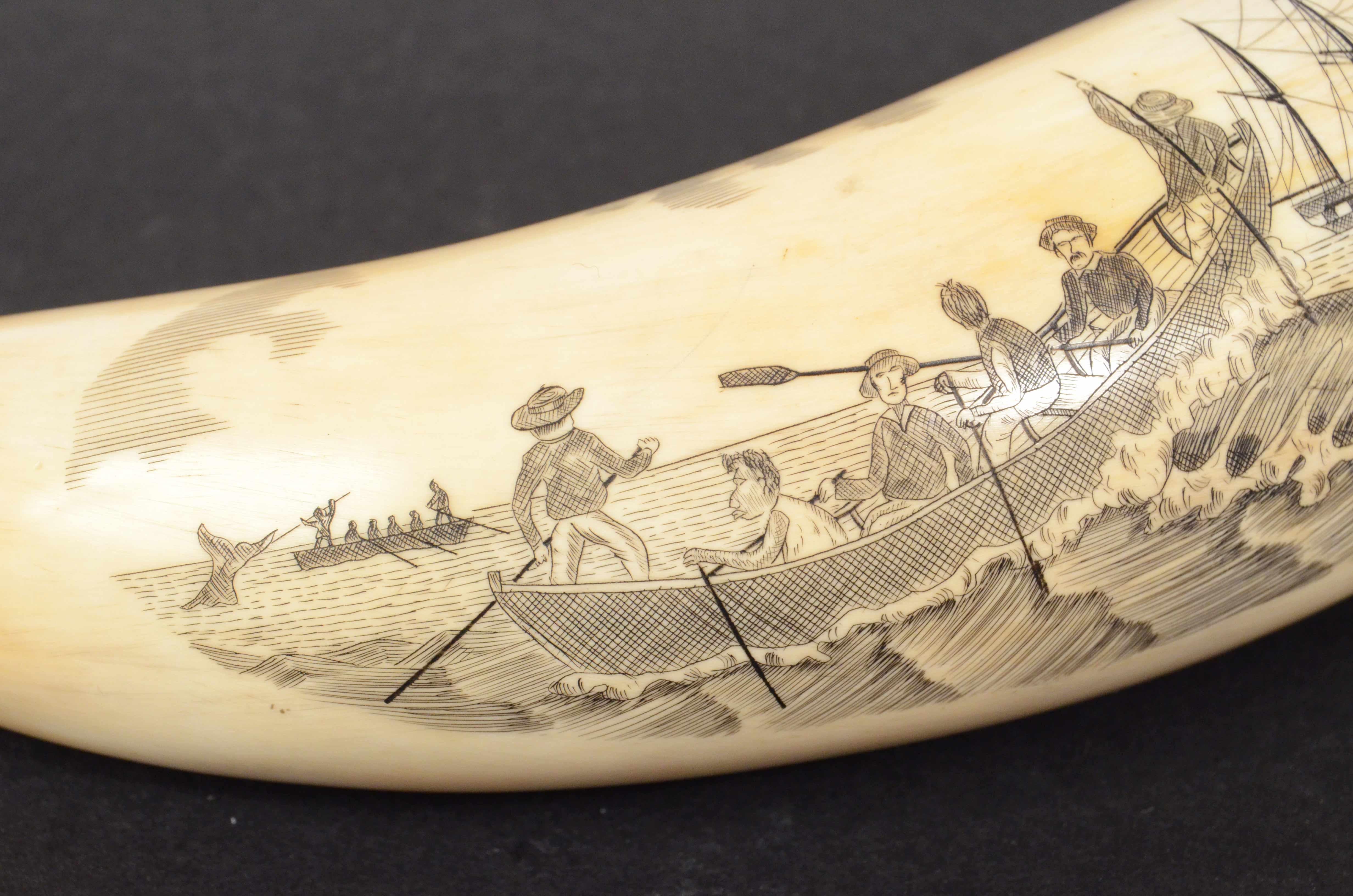 Mid-19th Century 19th Century Antique Scrimshaw of an Engraved Whale Tooth Ancient Marine Art