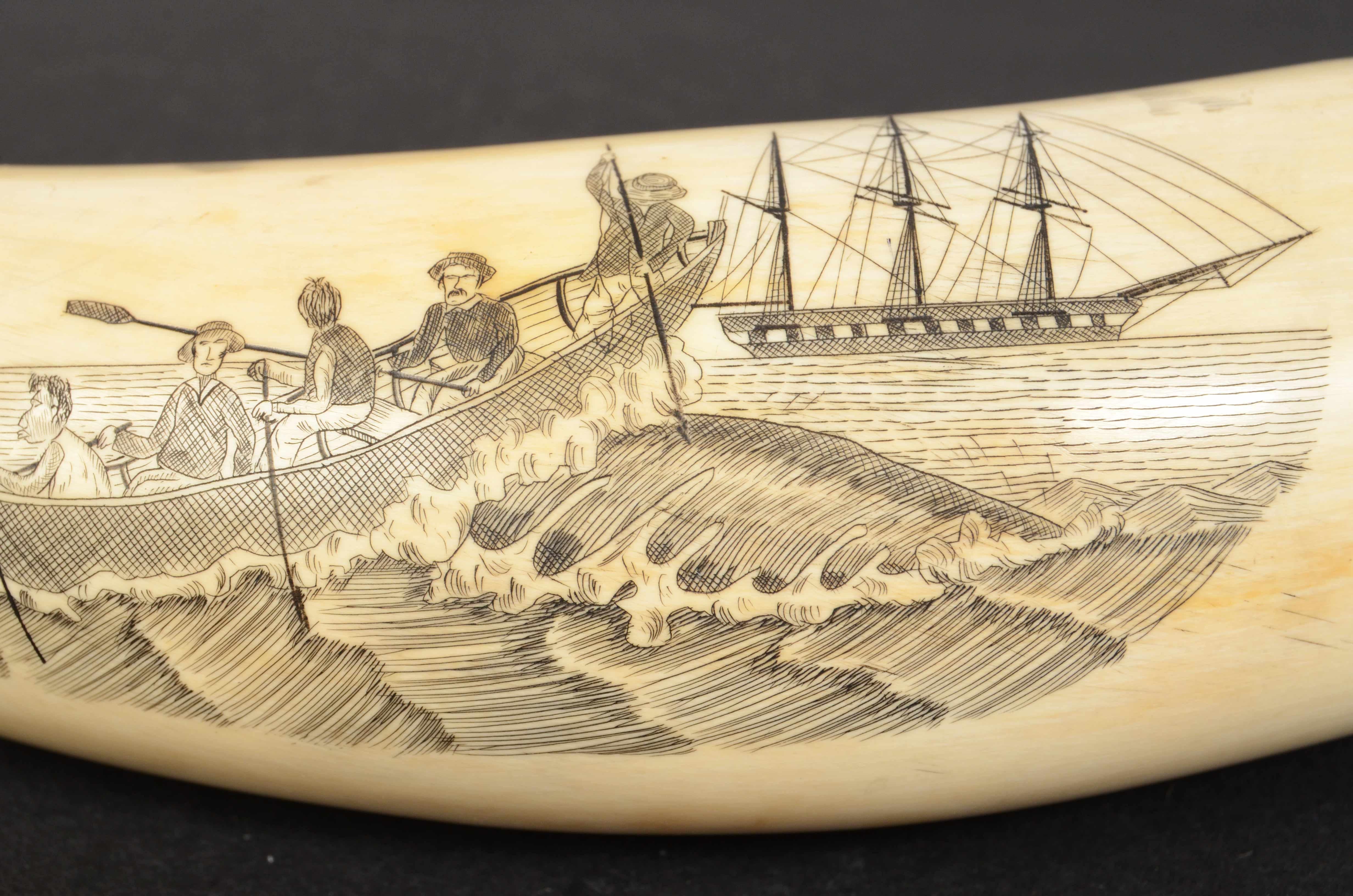 Teeth 19th Century Antique Scrimshaw of an Engraved Whale Tooth Ancient Marine Art