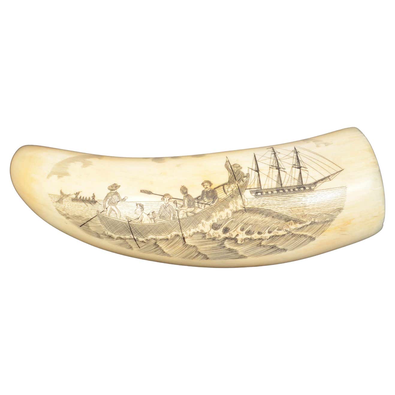 19th Century Antique Scrimshaw of an Engraved Whale Tooth Ancient