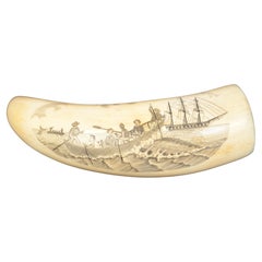 19th Century Antique Scrimshaw of an Engraved Whale Tooth Ancient Marine Art