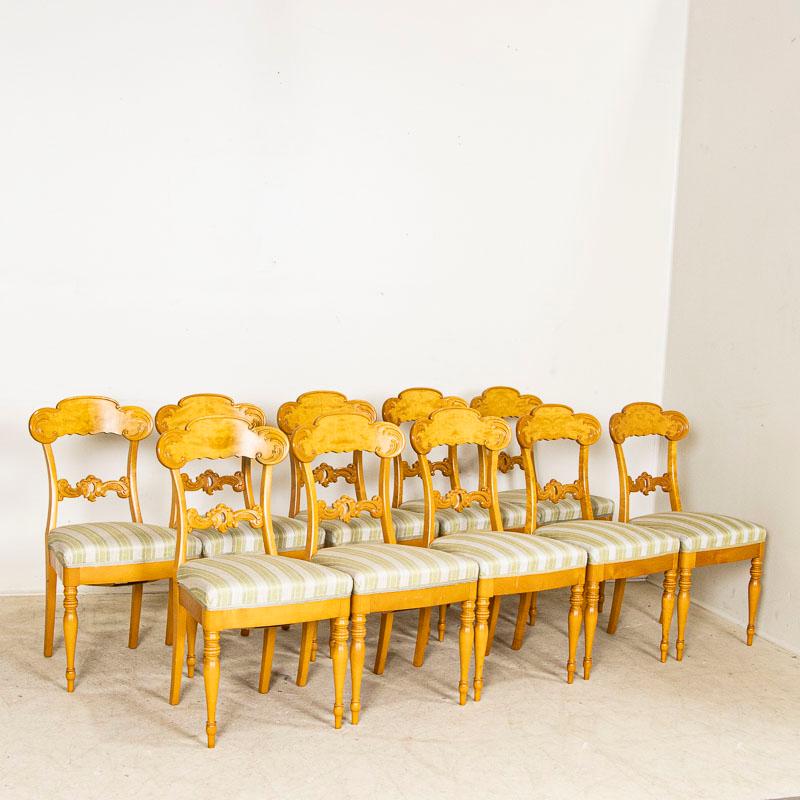 The appeal of this stunning set of 10 dining chairs is in the craftsmanship and famous Biedermeier design. The yellow birch glows, enhanced by the gently curved backs and turned legs adding class and sophistication. Please enlarge photos to