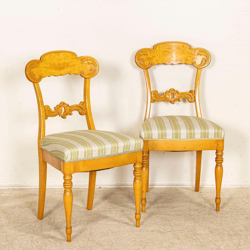 Swedish 19th Century Antique Set of 10 Biedermeier Birch Dining Chairs from Sweden
