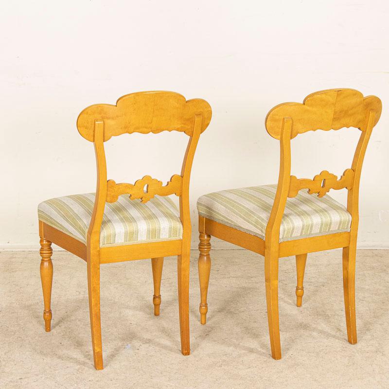 19th Century Antique Set of 10 Biedermeier Birch Dining Chairs from Sweden 1