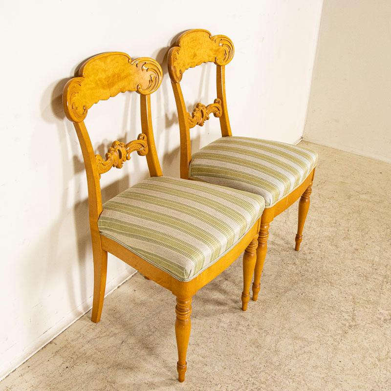 19th Century Antique Set of 10 Biedermeier Birch Dining Chairs from Sweden 2
