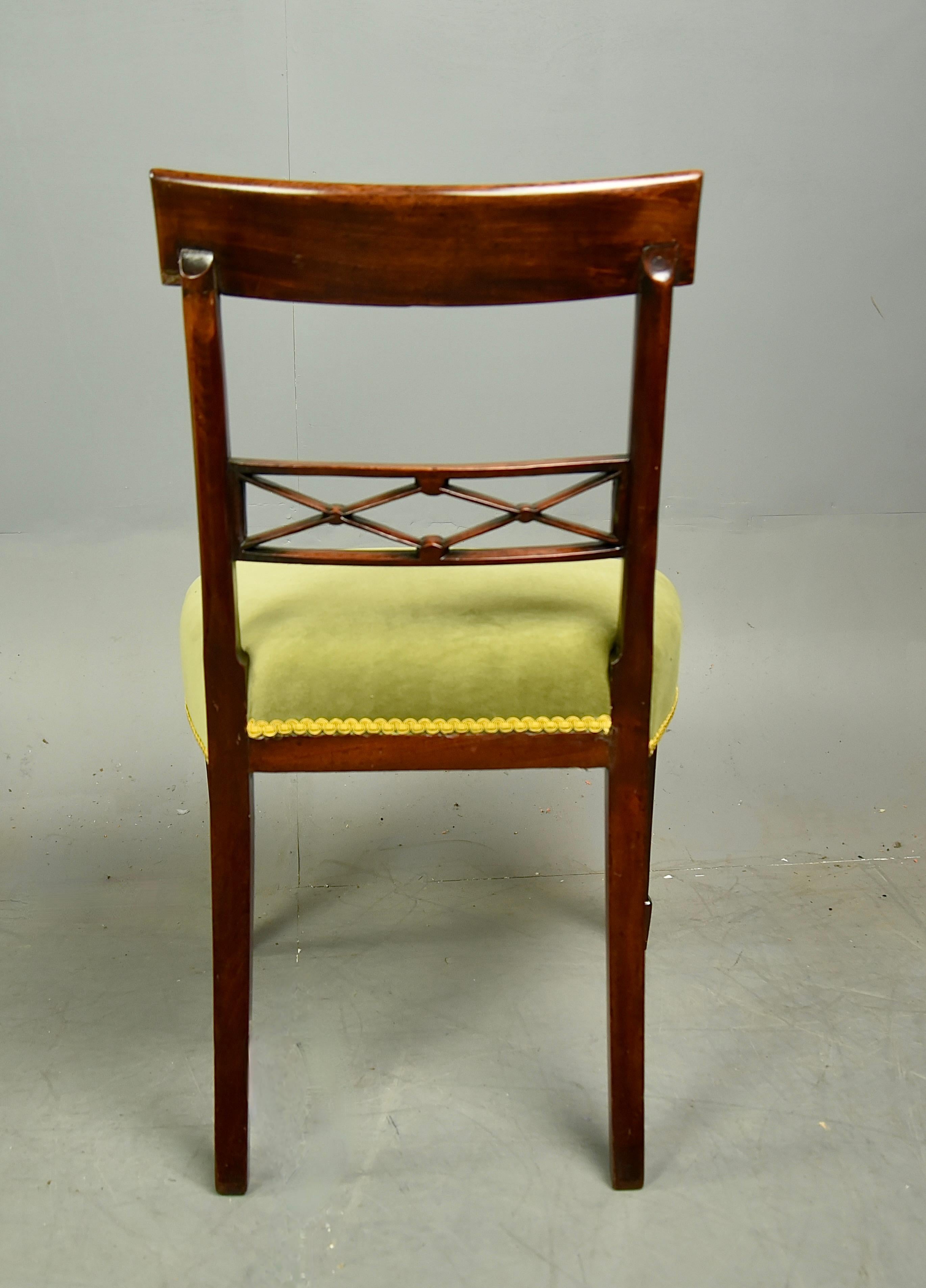 Mahogany 19th century Antique set of 6 Regency dining chairs 