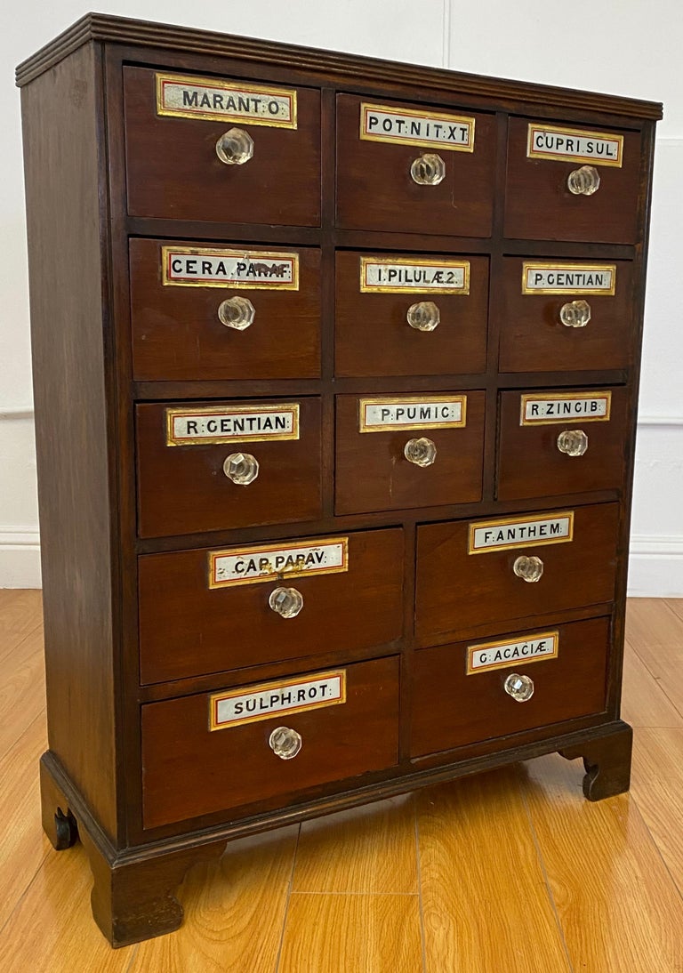19th Century Apothecary / Medicine at 1stDibs