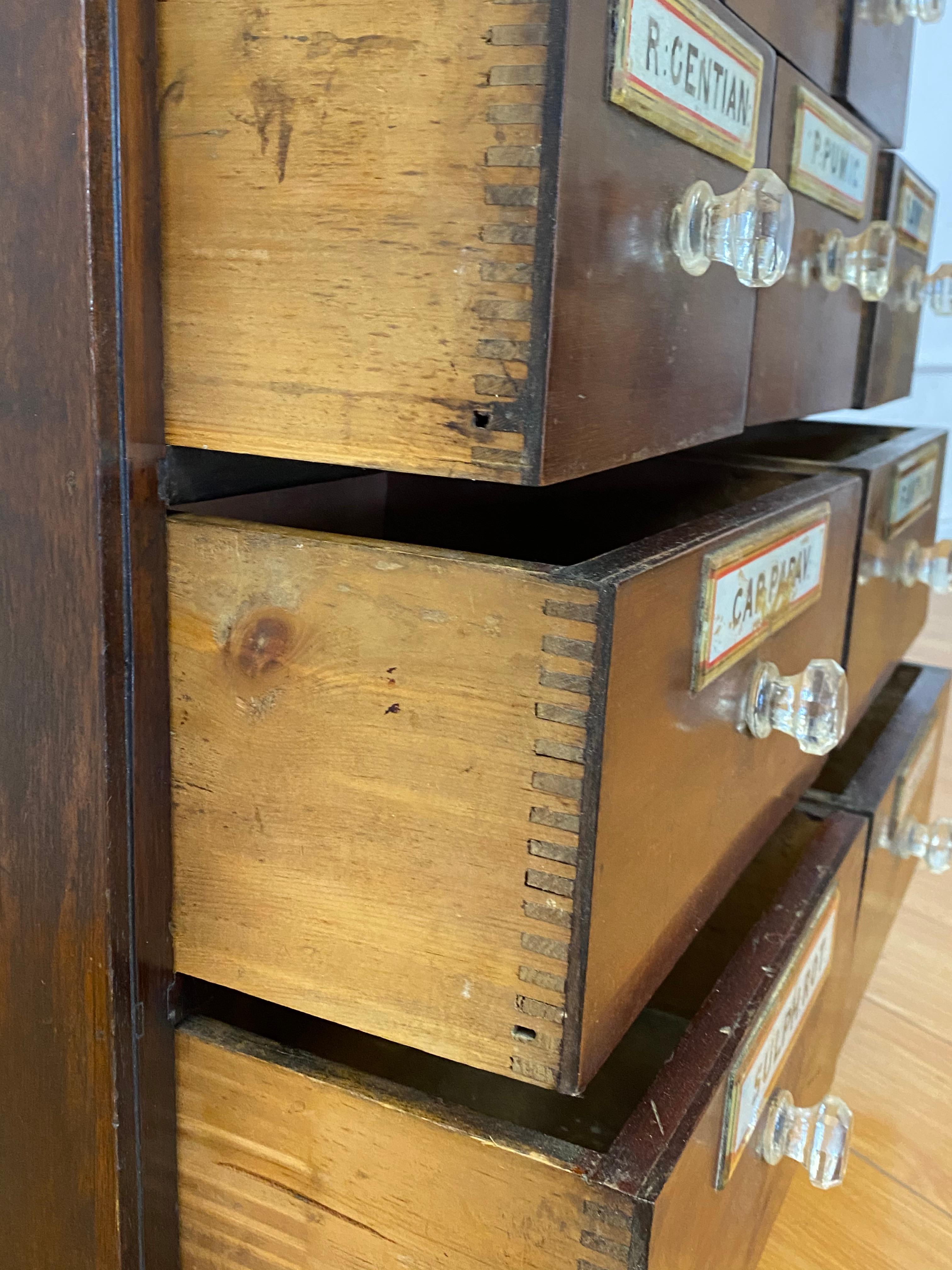 American 19th Century Apothecary / Medicine Cabinet