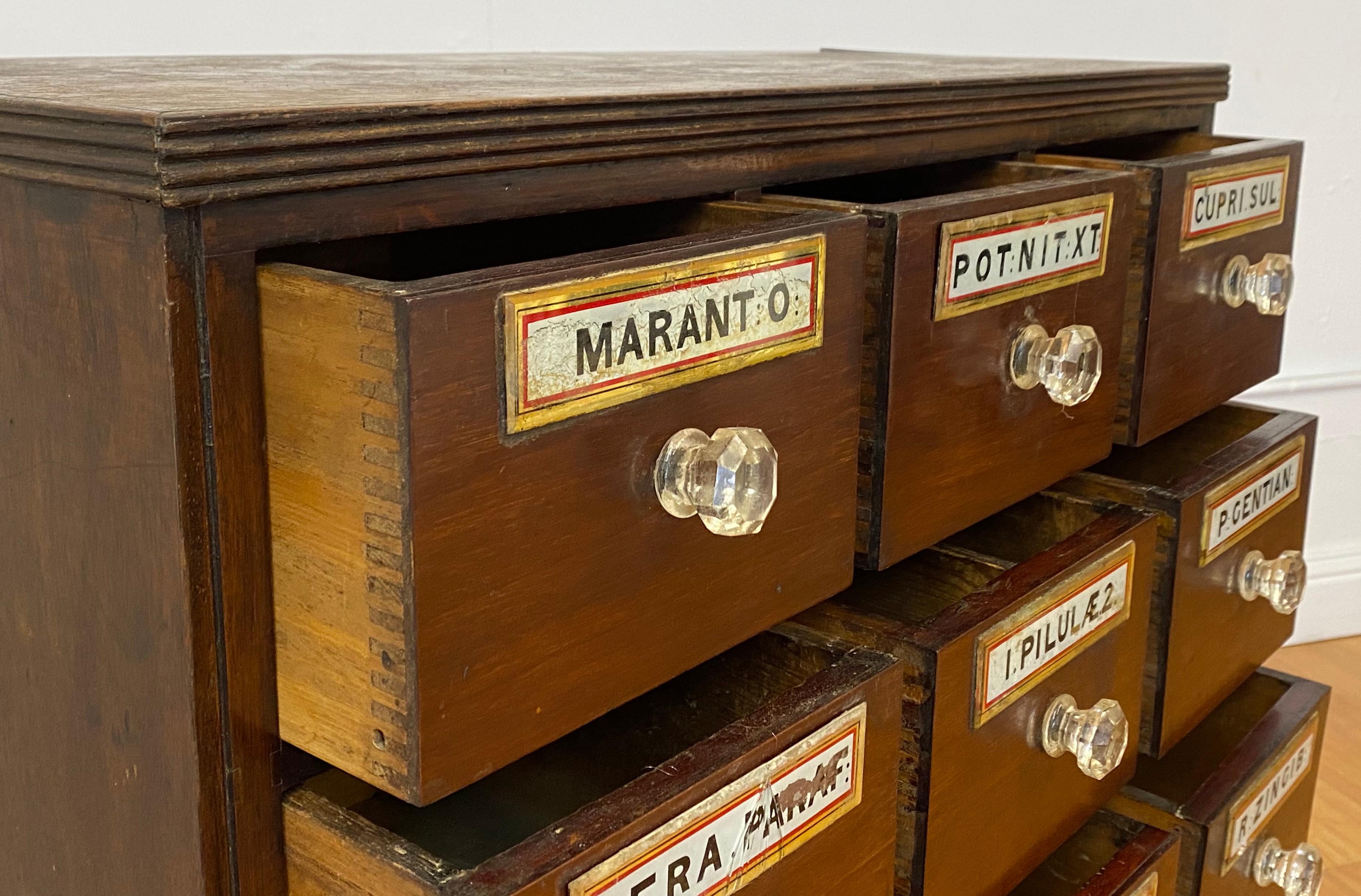 Hand-Crafted 19th Century Apothecary / Medicine Cabinet