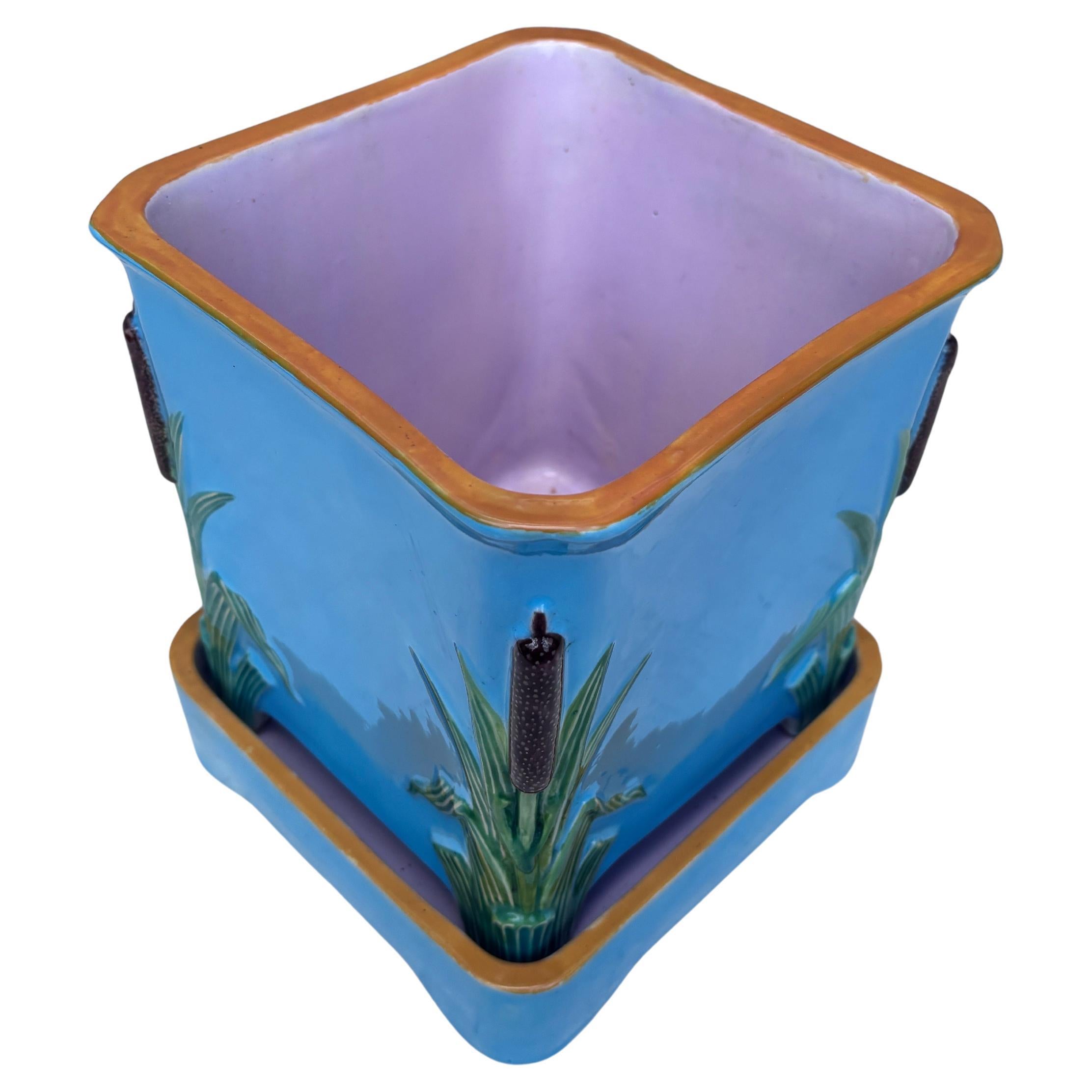 Aqua Minton Majolica square jardiniere with stand  the square sectioned jardiniere simply decorated with a cattail on each corner.
H / 7.8 inches.
6.4 by 6.4 inches.