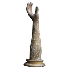 19th Century Arm