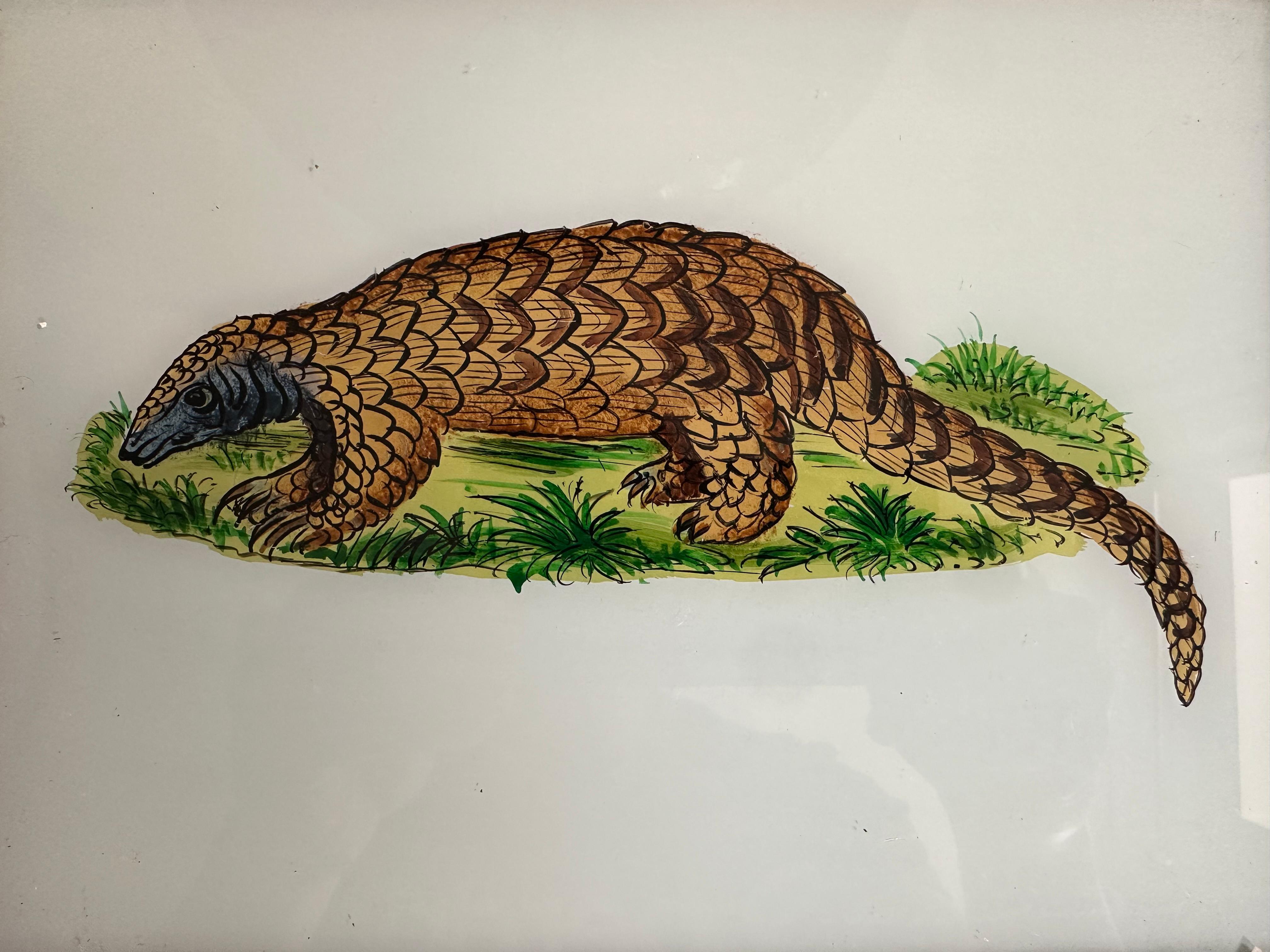 Questo affascinante dipinto di armadillo del XIX secolo offre una rappresentazione dettagliata e realistica di questa creatura unica. L'attenzione dell'artista alla corazza strutturata e alle caratteristiche distintive dell'armadillo dimostra sia la