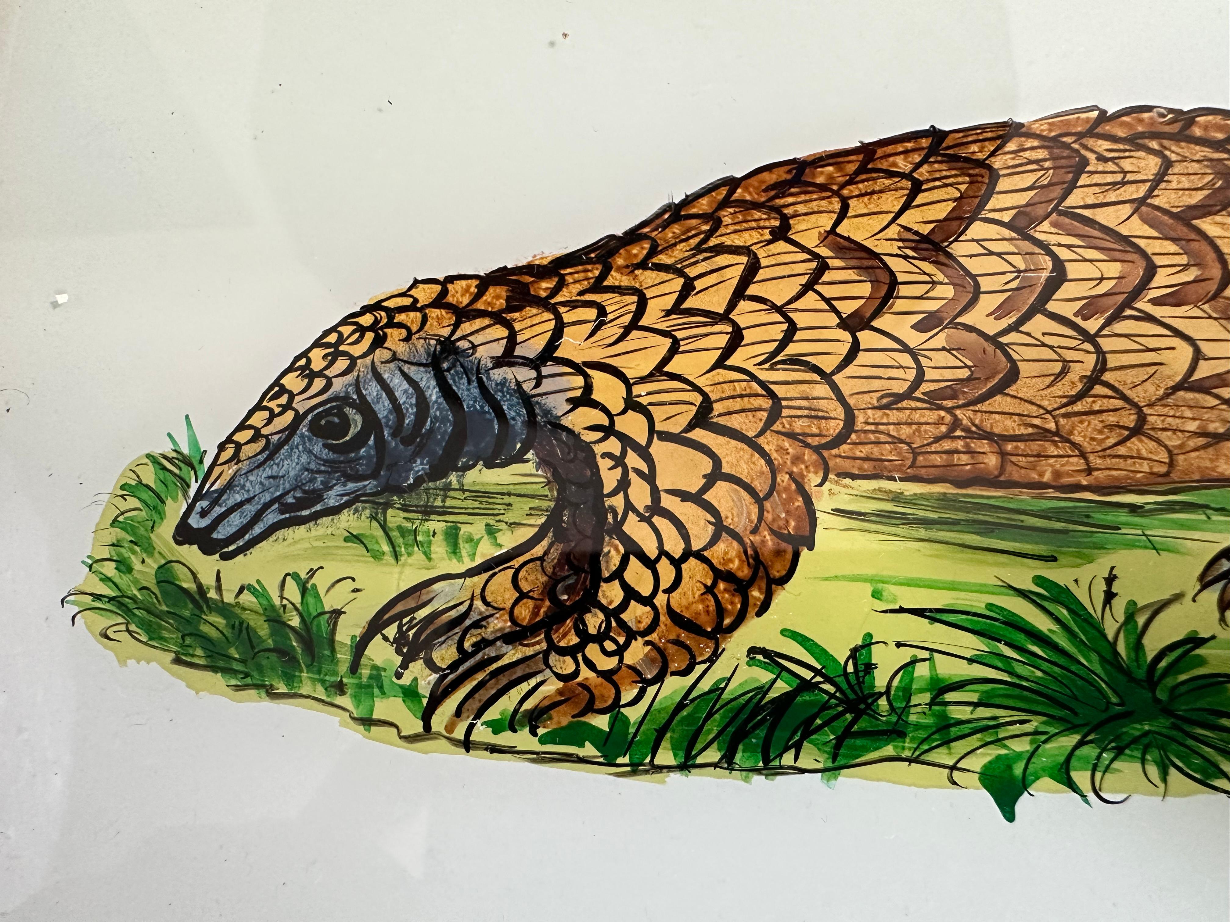 Inglese Ritratto di armadillo del XIX secolo: Studio dettagliato di Nature in vendita