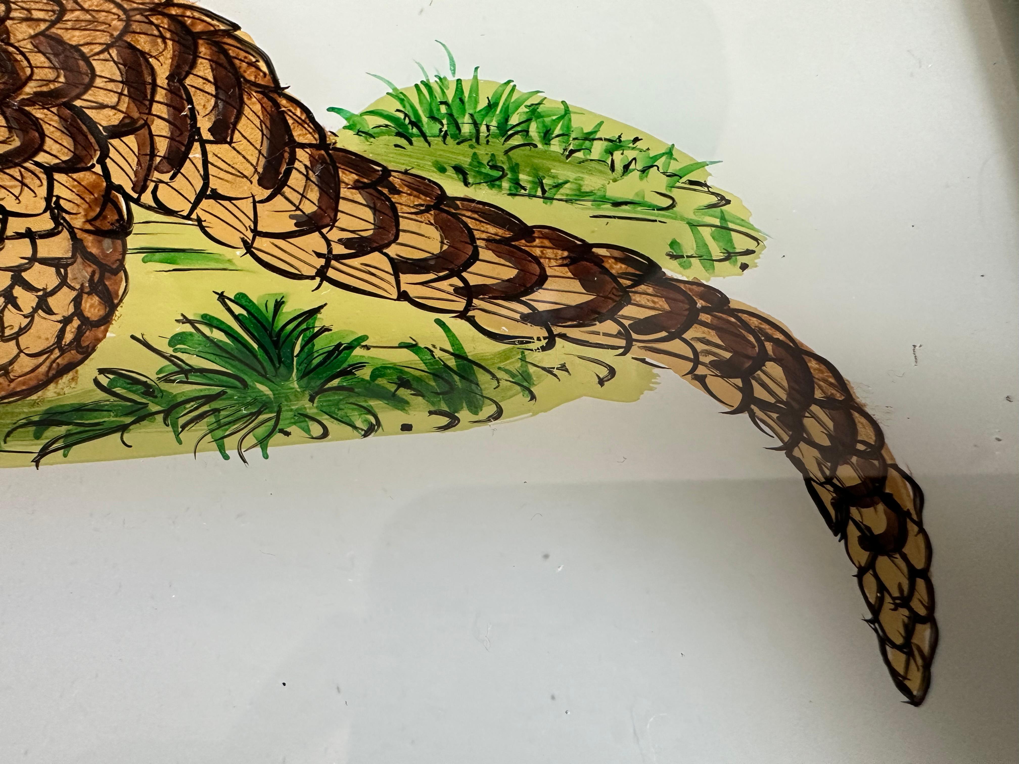 Vetro Ritratto di armadillo del XIX secolo: Studio dettagliato di Nature in vendita