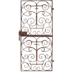 19th Century Art Nouveau Iron Garden Courtyard Door