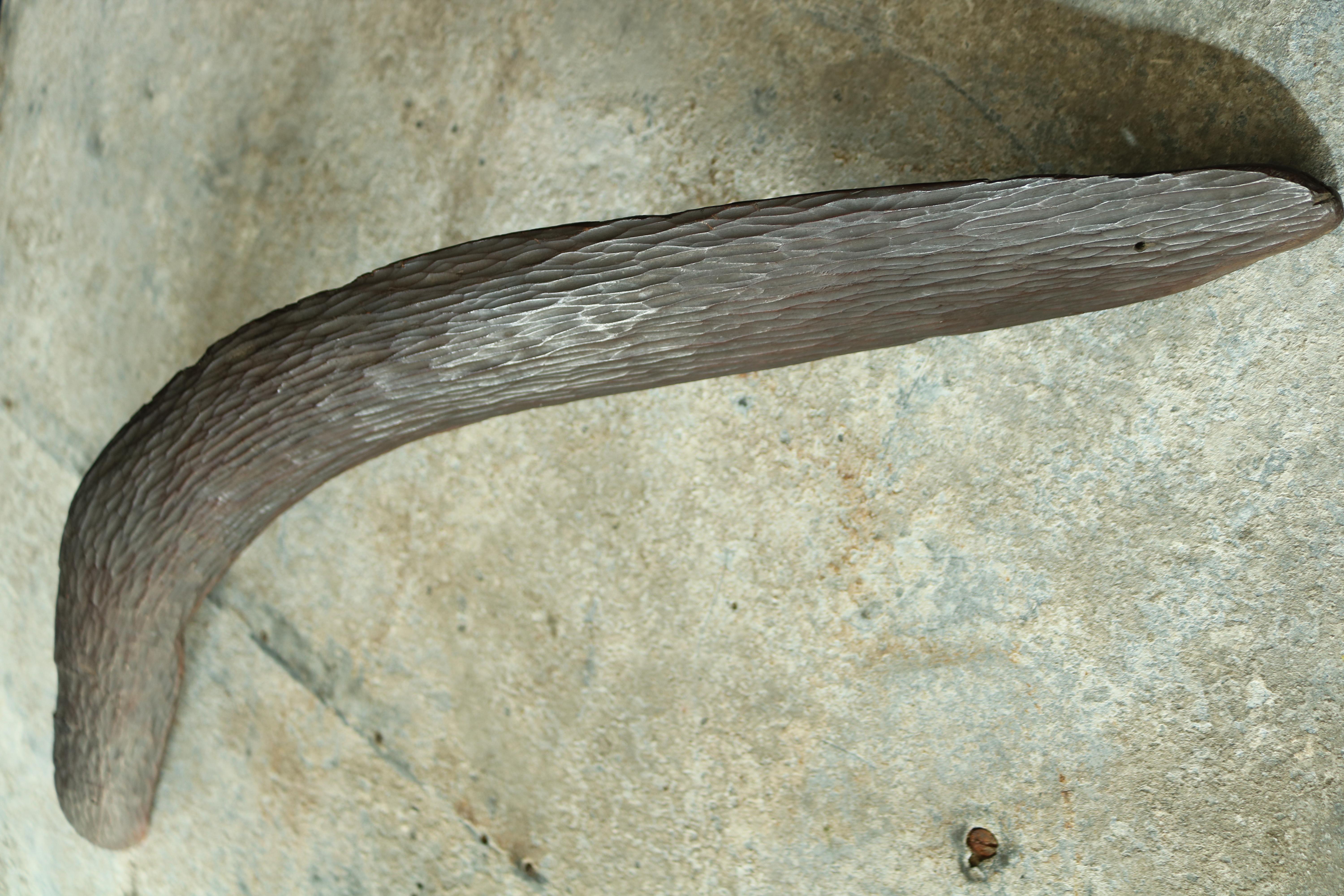 A good mid-19th century Oceania Australian aboriginal hunting boomerang, fine stone carved hard wood with the initials carved “L.R.” in excellent original condition.
 