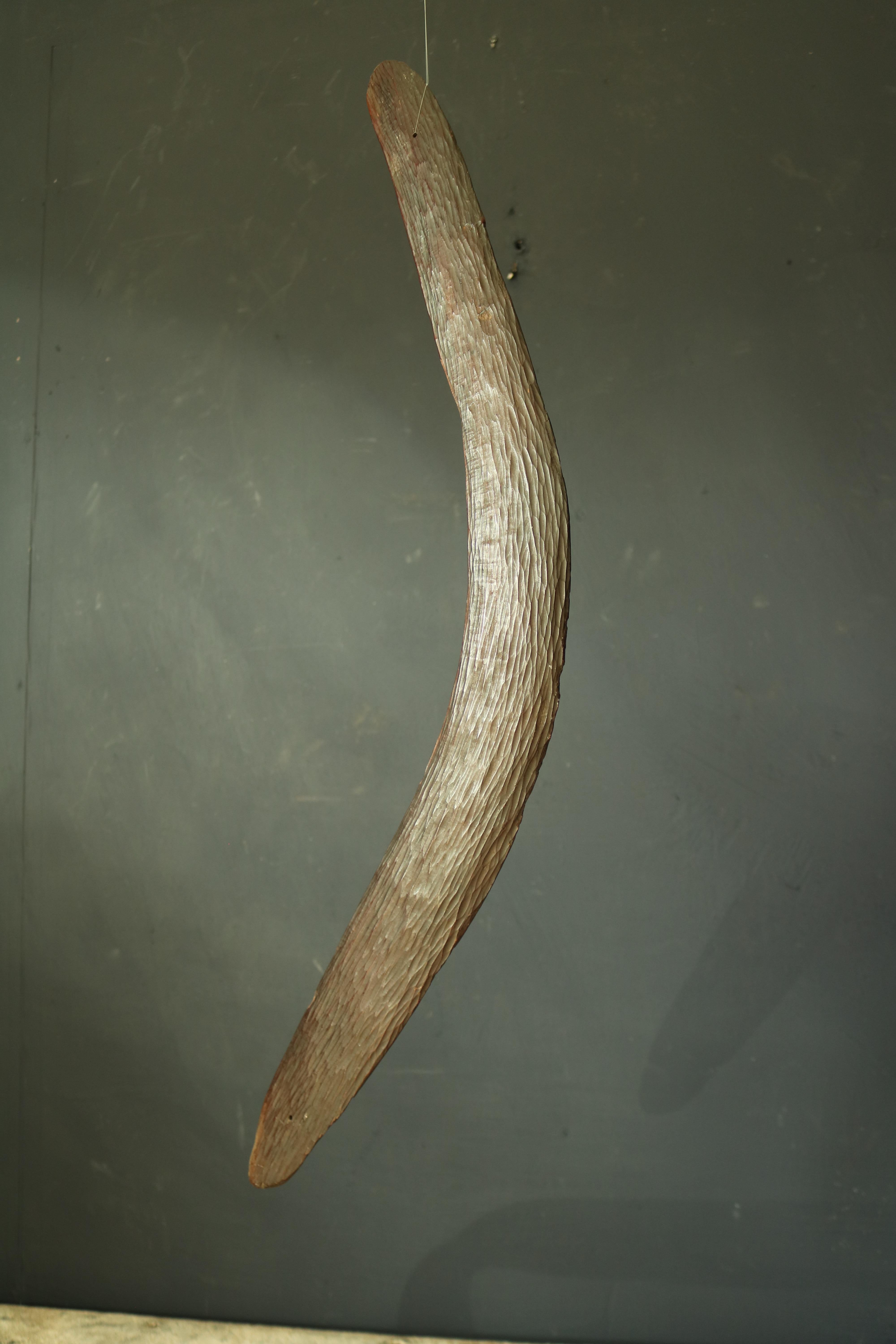 19th Century Australian Aboriginal Hunting Boomerang In Fair Condition In Gloucestershire, GB