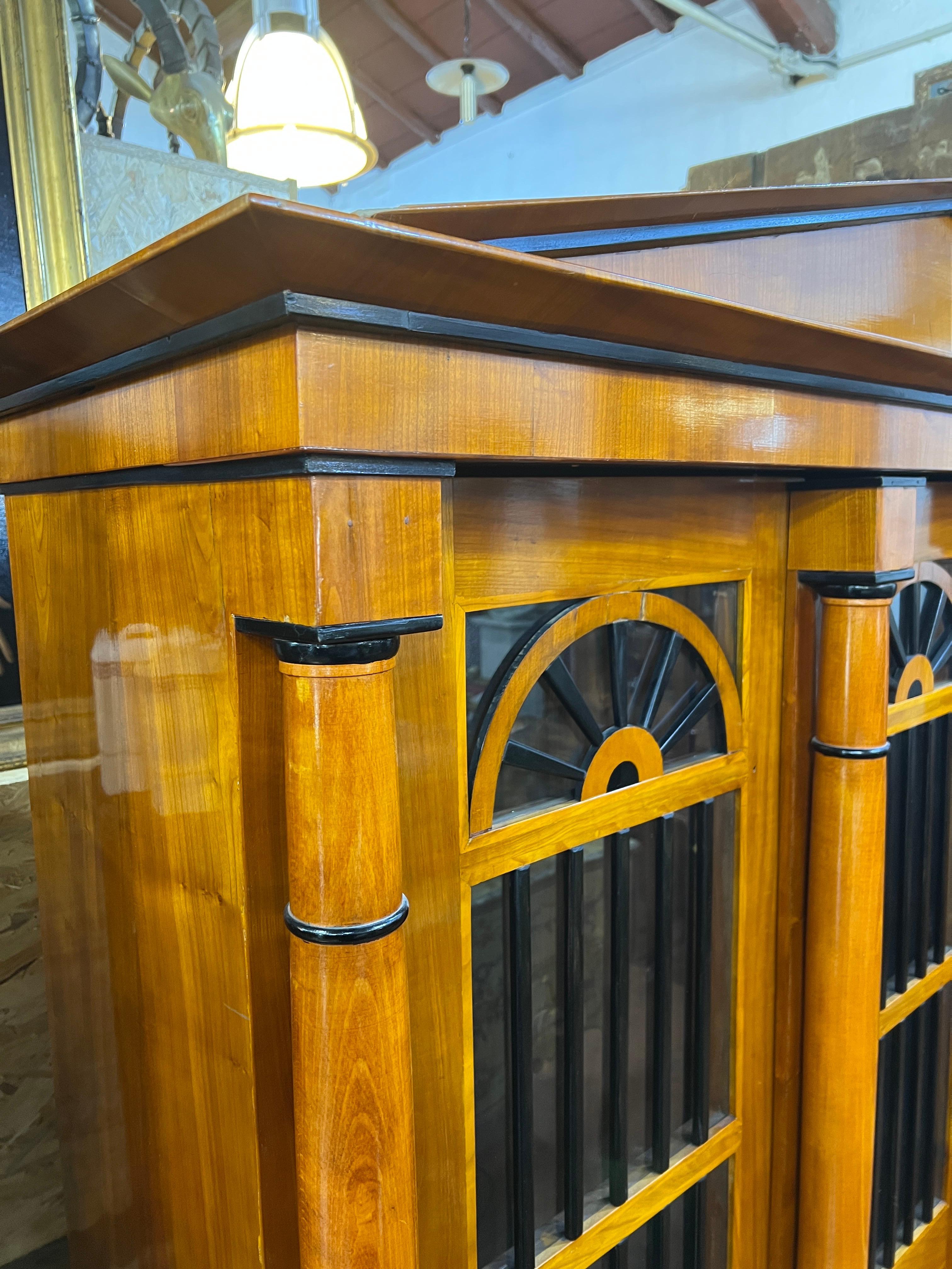 19th Century Austria Biedermeier Cherry Vitrines Cabinet Ebonized In Good Condition In Roma, RM