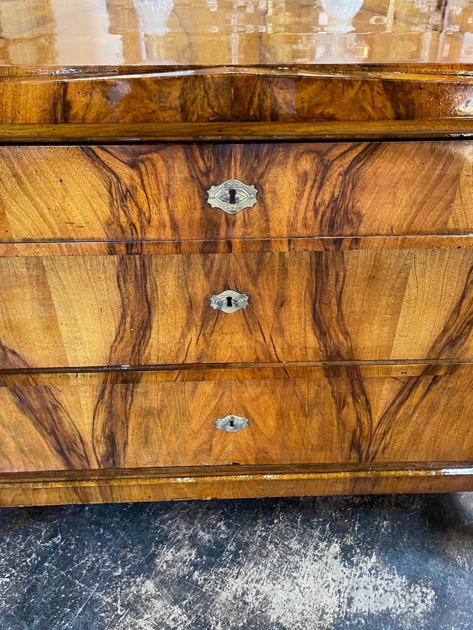 19th Century Austrian Biedermeier Black Walnut Commode 1