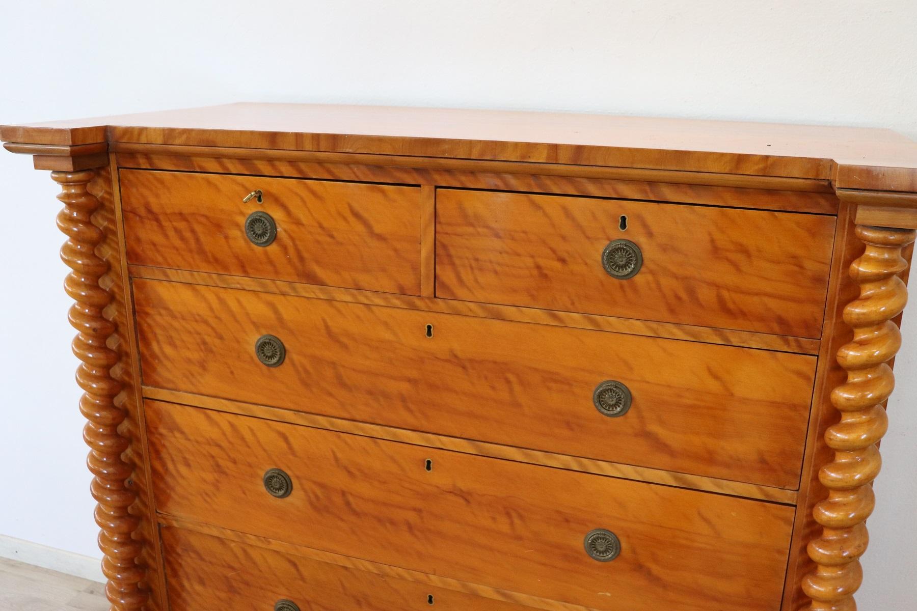 19th Century Austrian Biedermeier Commode or Tall Chest of Drawers in Birch Wood 1