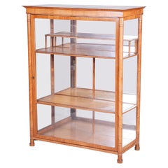 19th Century Austrian Biedermeier Display Cabinet, Restored Cherry, 1830s