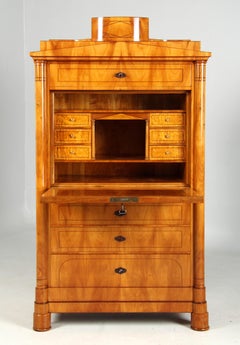 19th Century Austrian Biedermeier Secretary, Cherry and Hungarian Ash, c. 1830
