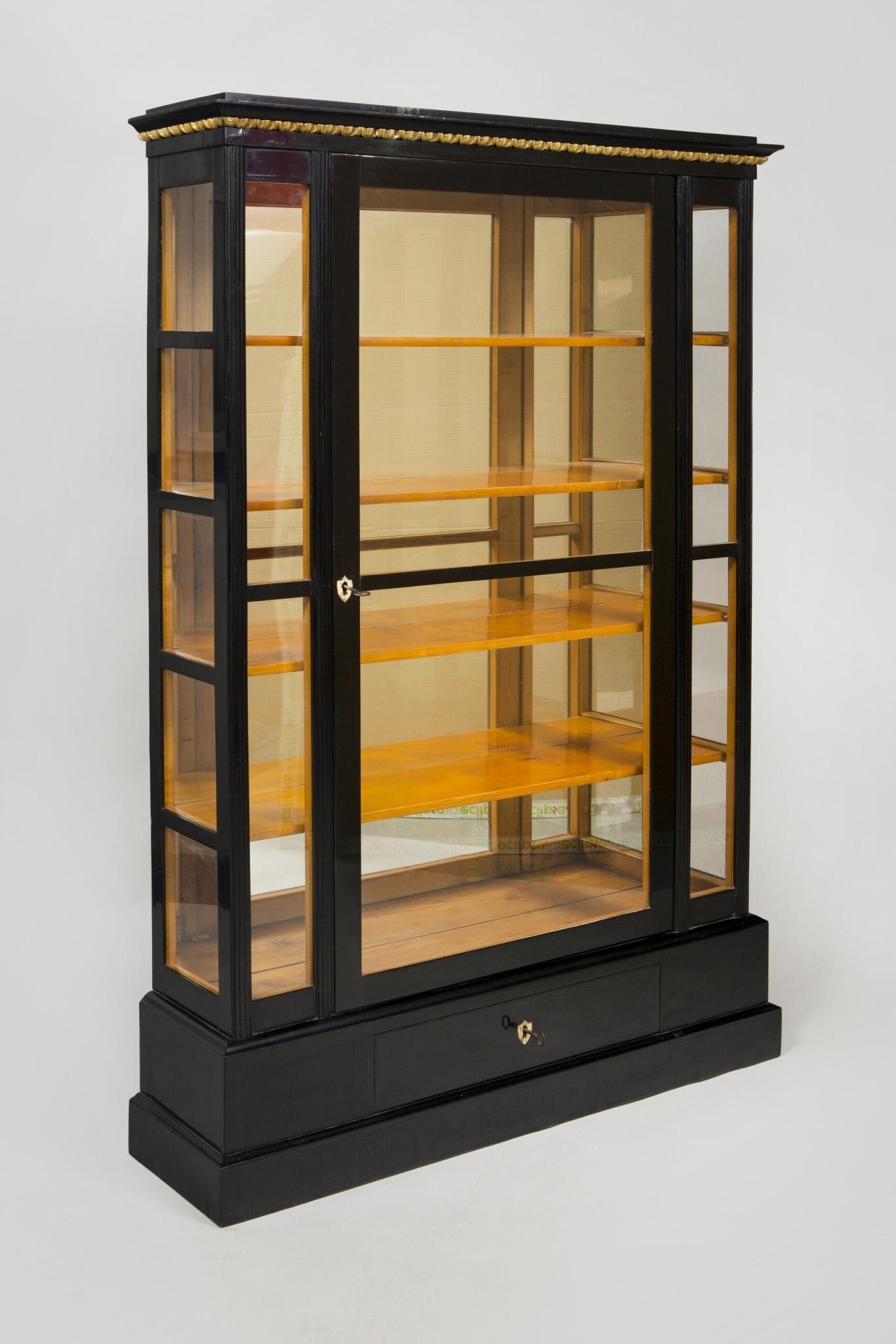 Glass 19th Century Austrian Display Cabinet, Made Out of Ebonized Pearwood For Sale