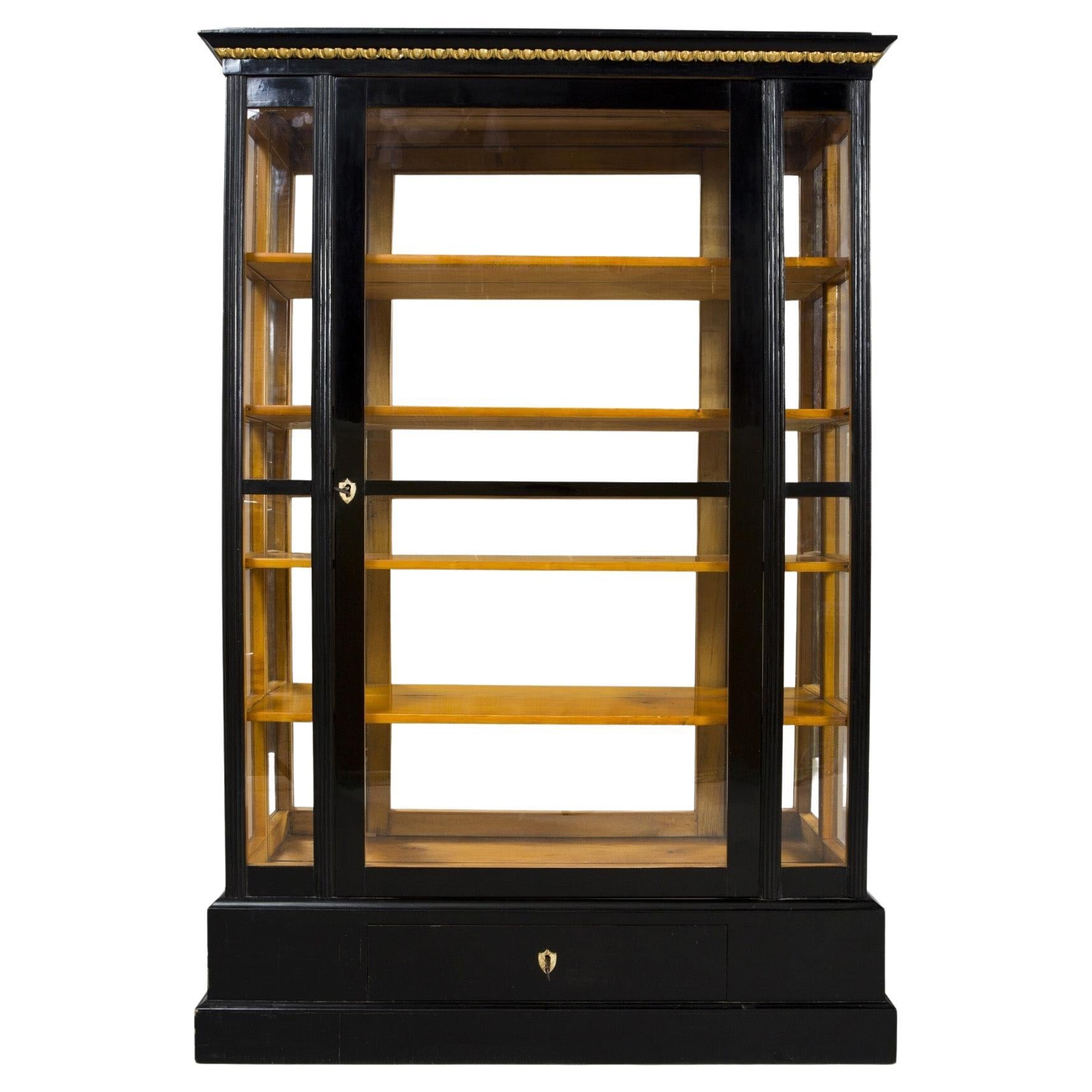 19th Century Austrian Display Cabinet, Made Out of Ebonized Pearwood For Sale
