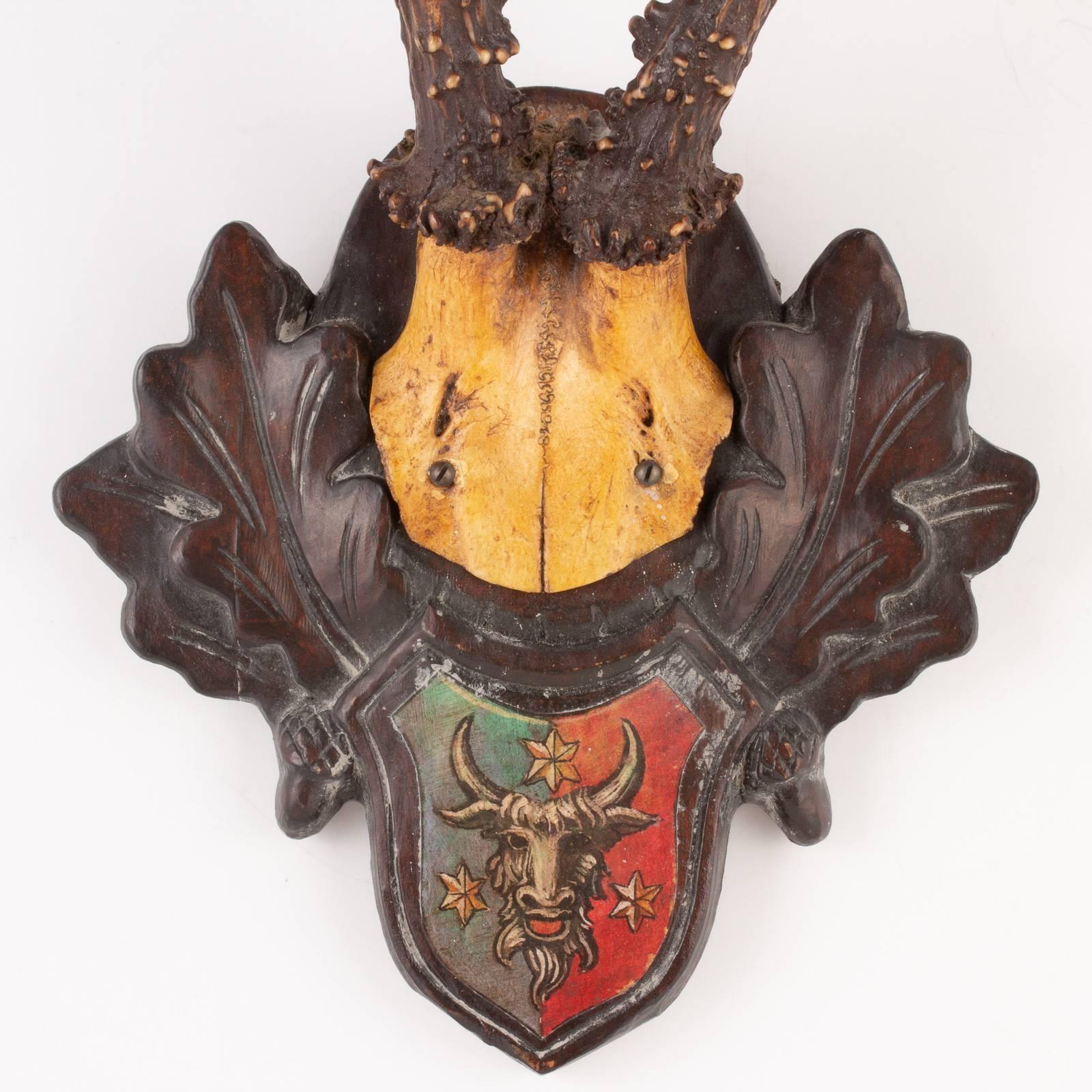 19th Century Austrian Habsburg Black Forest Roe Trophies with Heraldic Badges 5