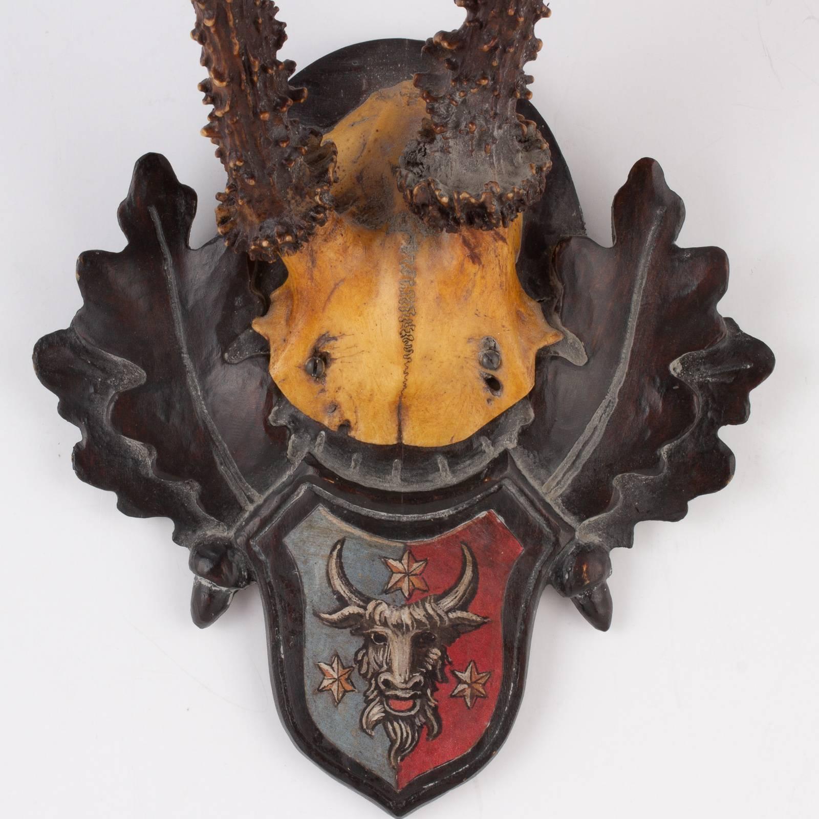 19th Century Austrian Habsburg Black Forest Roe Trophies with Heraldic Badges 8