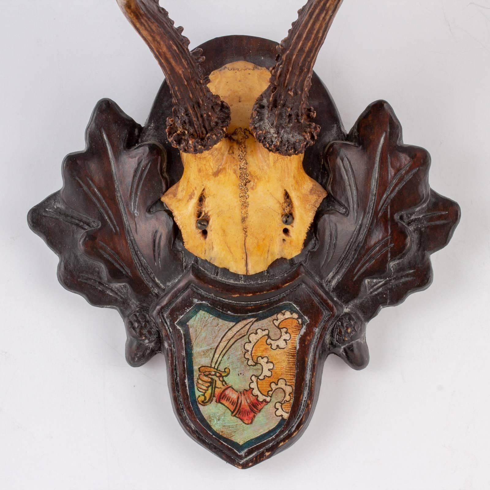 This grouping of hunting trophies originated from the Eckartsau castle of Emperor Franz Josef in the Southern Austrian Alps. Eckartsau was a favorite hunting schloss of the Habsburg family. The Heraldic badge appears to be a crest of a noble