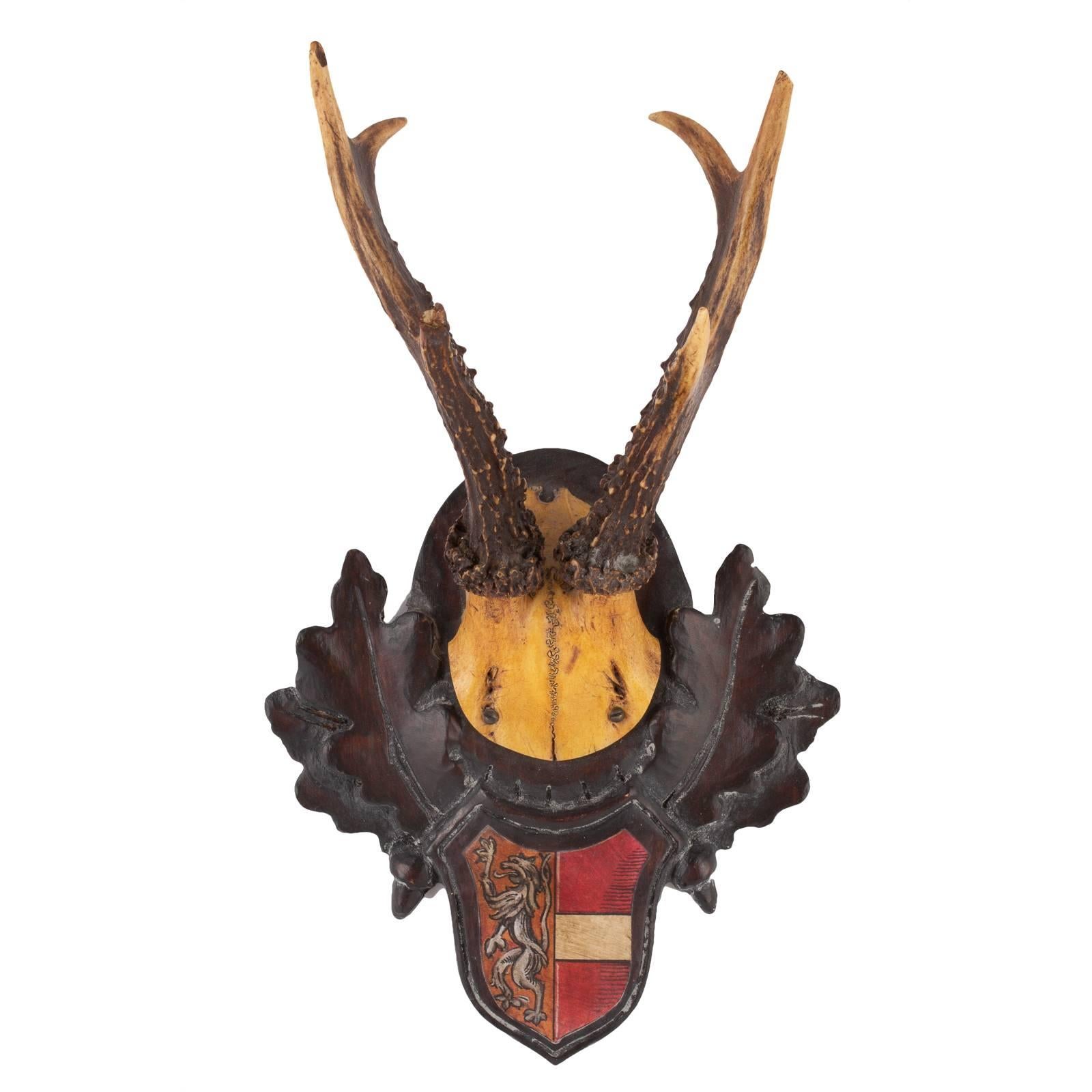 This grouping of hunting trophies originated from the Eckartsau castle of Emperor Franz Josef in the Southern Austrian Alps. Eckartsau was a favourite hunting schloss of the Habsburg family. The Heraldic badge appears to be a crest of a noble