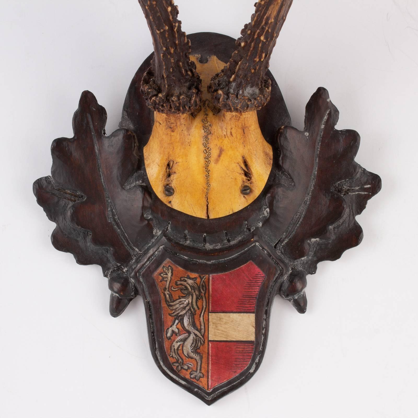 Hand-Carved 19th Century Austrian Habsburg Black Forest Roe Trophies with Heraldic Badges