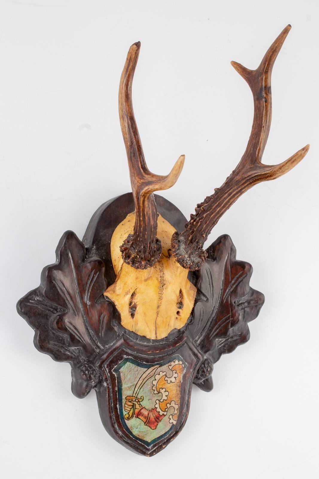 19th Century Austrian Habsburg Black Forest Roe Trophies with Heraldic Badges In Good Condition In Houston, TX