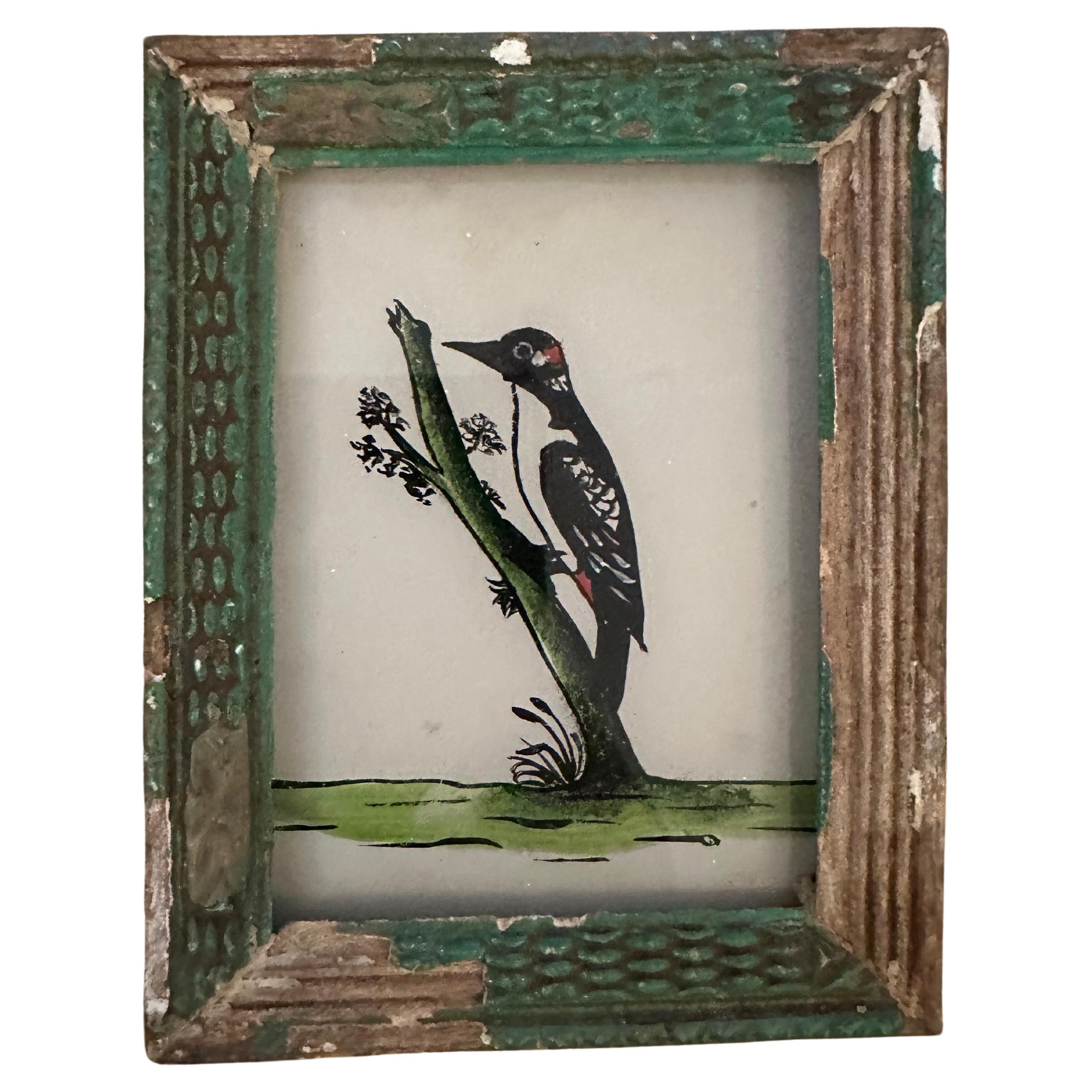Avian Collection des 19. Jahrhunderts: Set von fünf exquisiten Vogelgemälden im Zustand „Gut“ im Angebot in Southall, GB