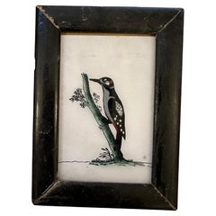 19th-Century Avian Masterpieces: Collection of Bird Paintings