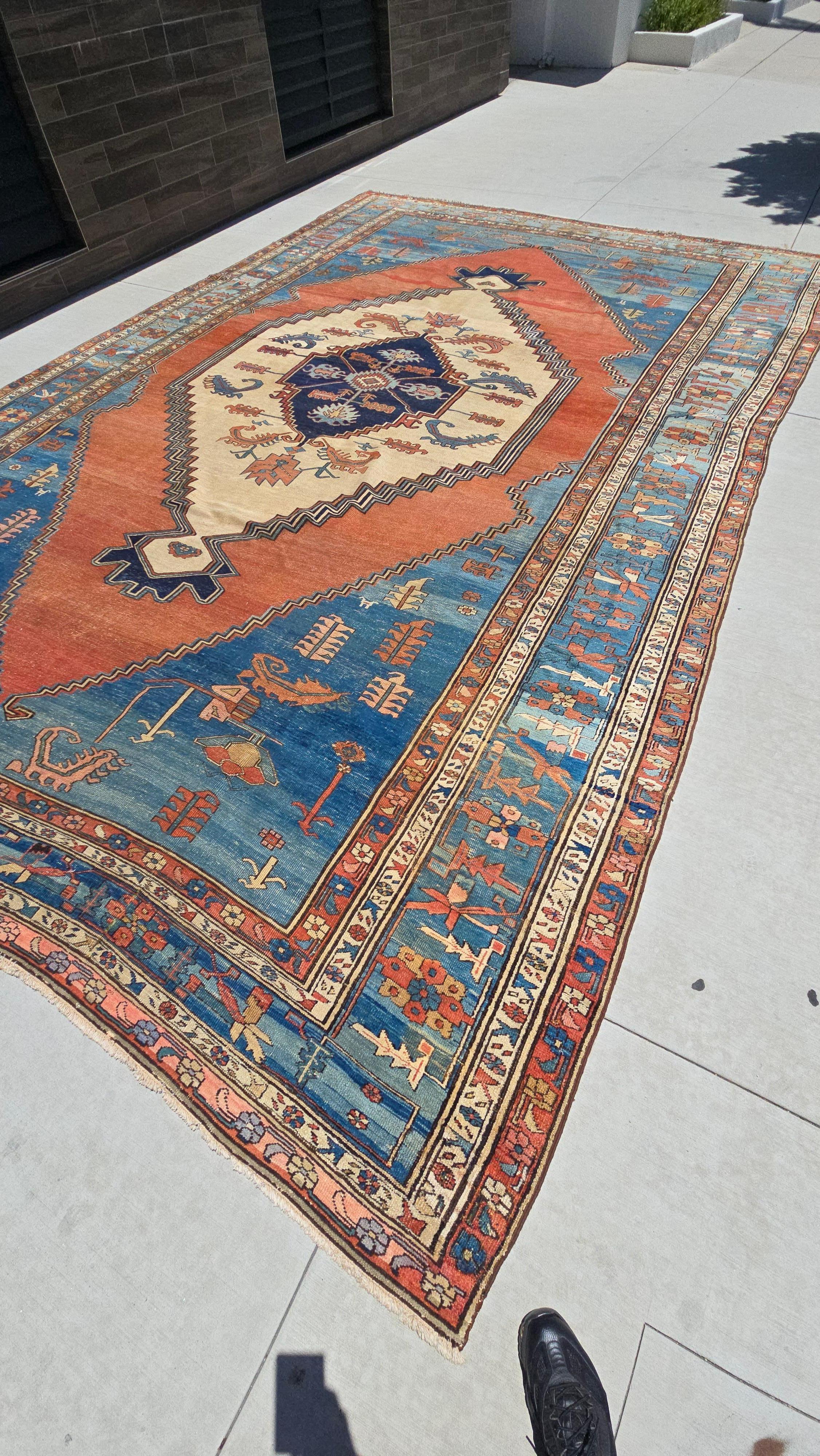 Hand-Knotted 19th Century Bakshaish Rug (Bakhshayesh) 12.6x19.5 For Sale
