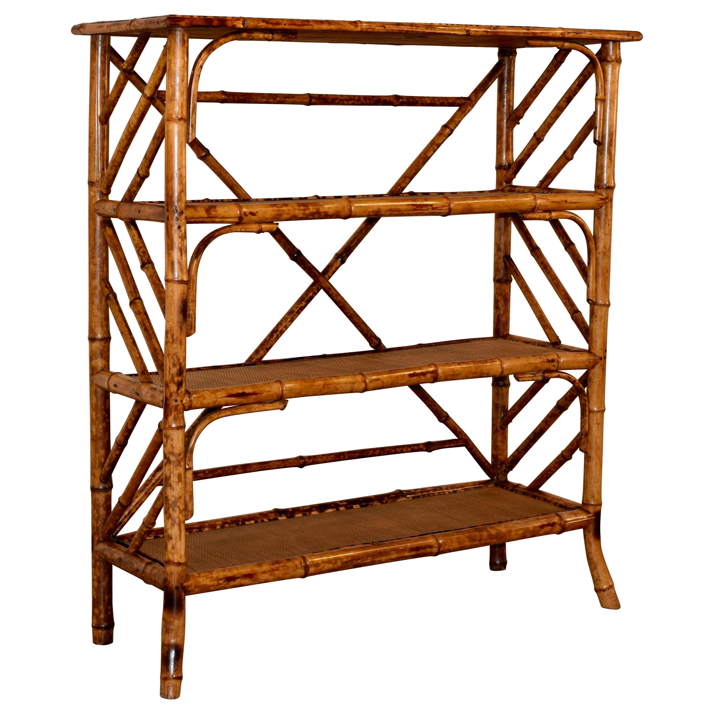 19th Century Bamboo Bookcase from France